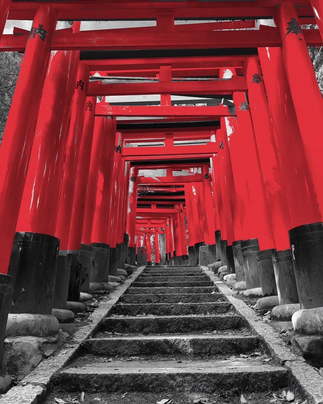 Kyoto, le Kansai… et au-delà