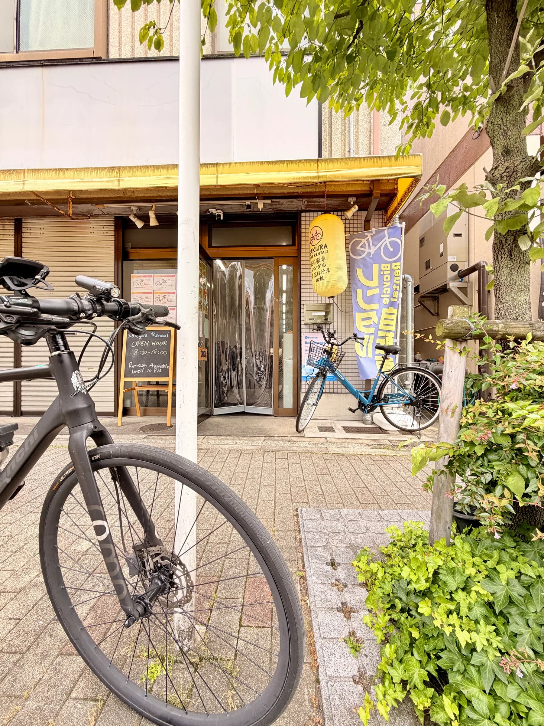 Sakura Bike Rentals