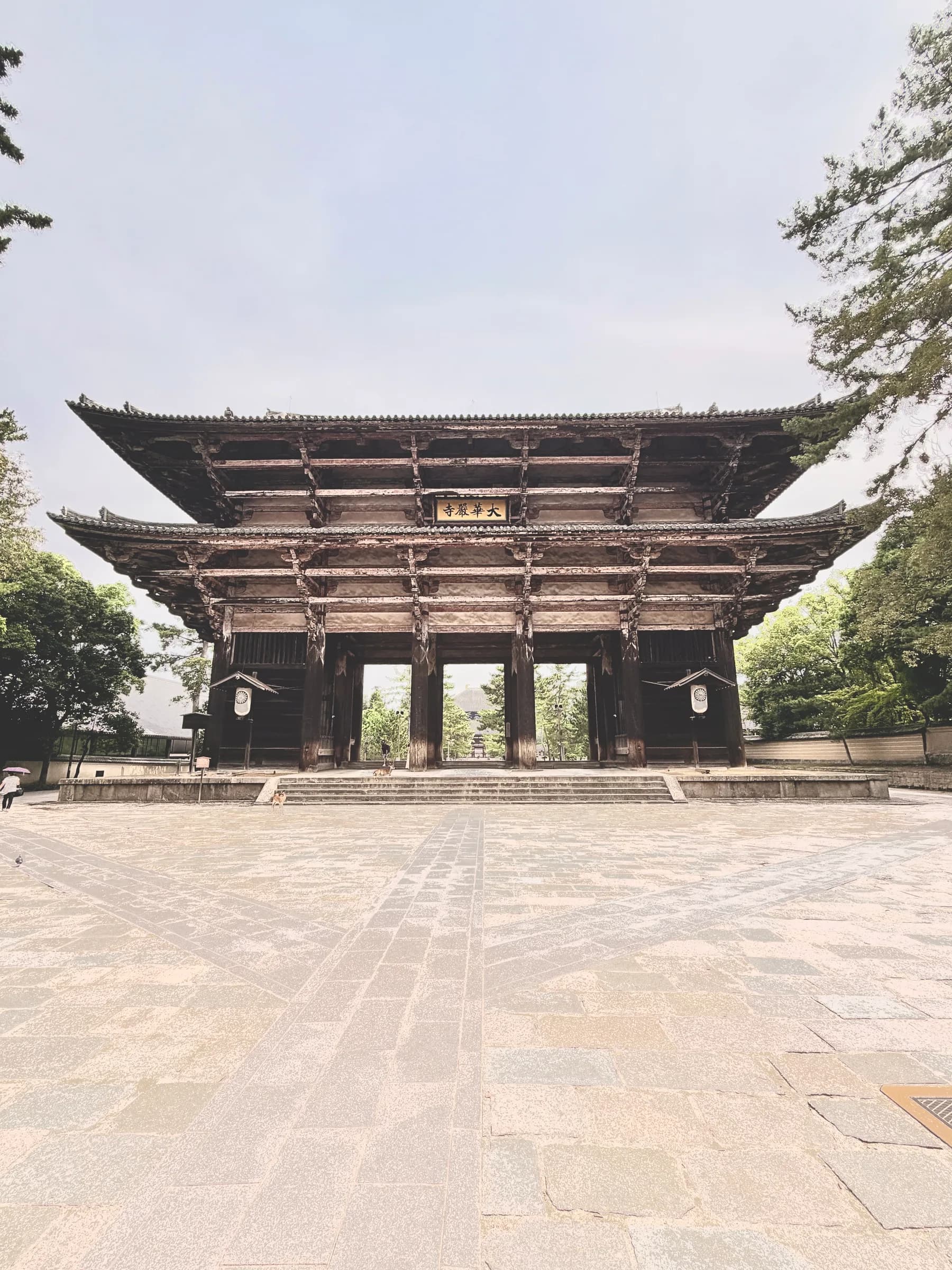 Nara en une matinée : cerfs sacrés, grand Bouddha et lanternes de Kasuga
