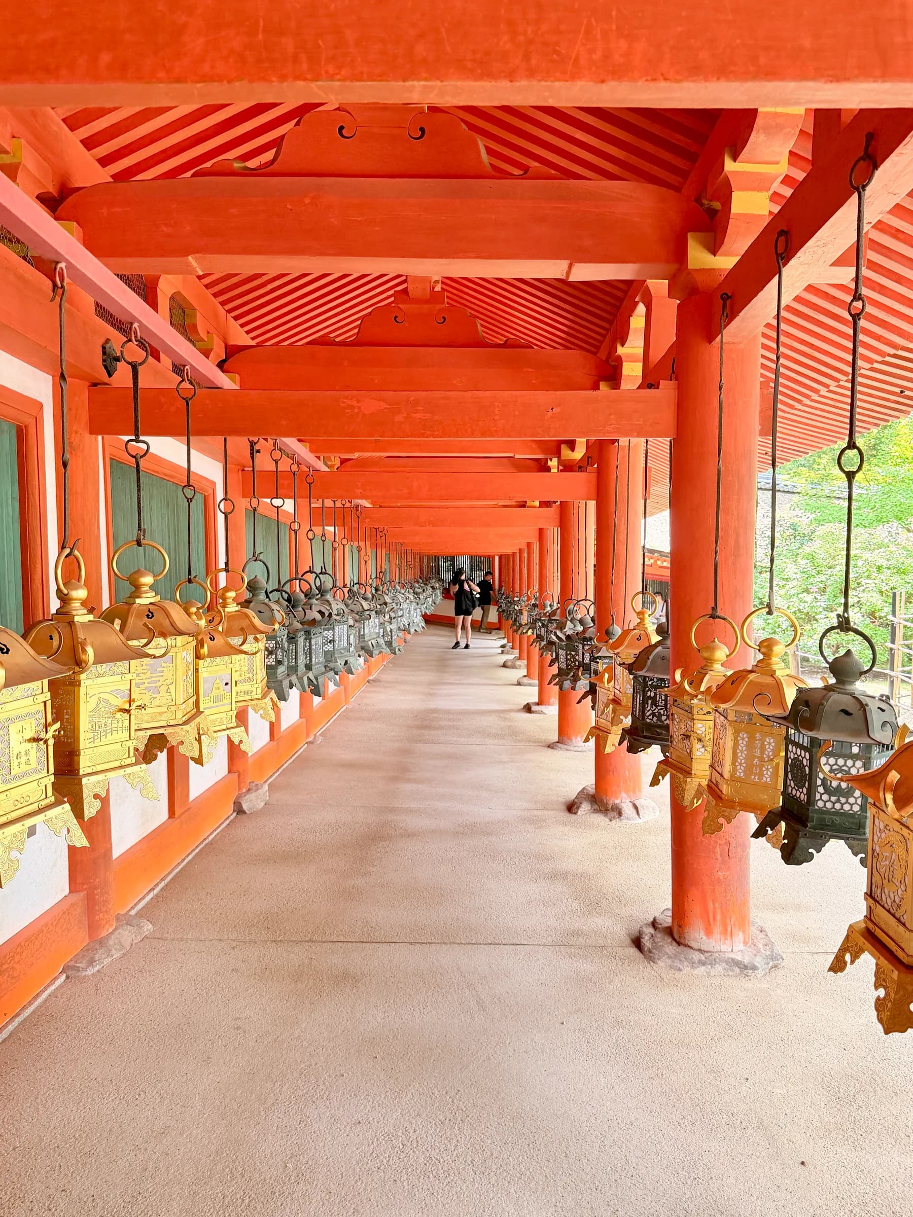 Nara en une matinée : cerfs sacrés, grand Bouddha et lanternes de Kasuga