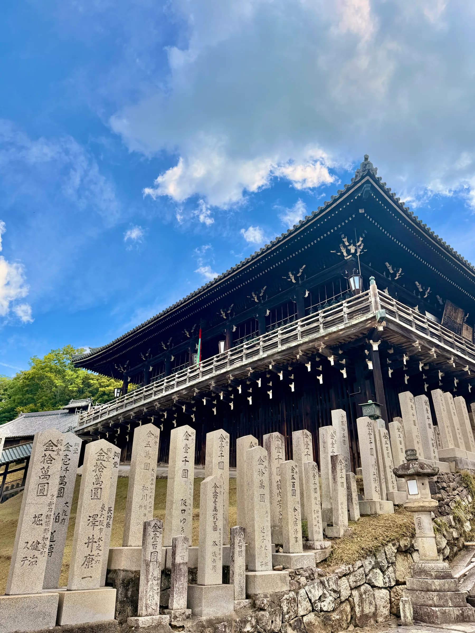 Nara en une matinée : cerfs sacrés, grand Bouddha et lanternes de Kasuga
