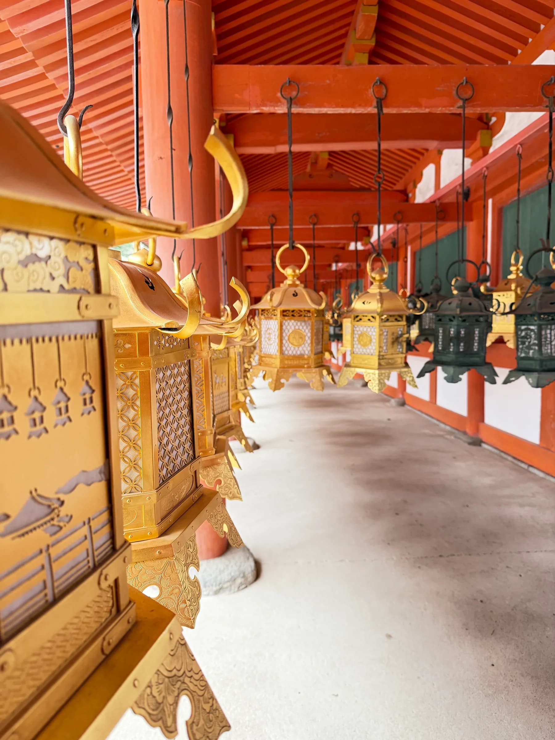 Nara en une matinée : cerfs sacrés, grand Bouddha et lanternes de Kasuga
