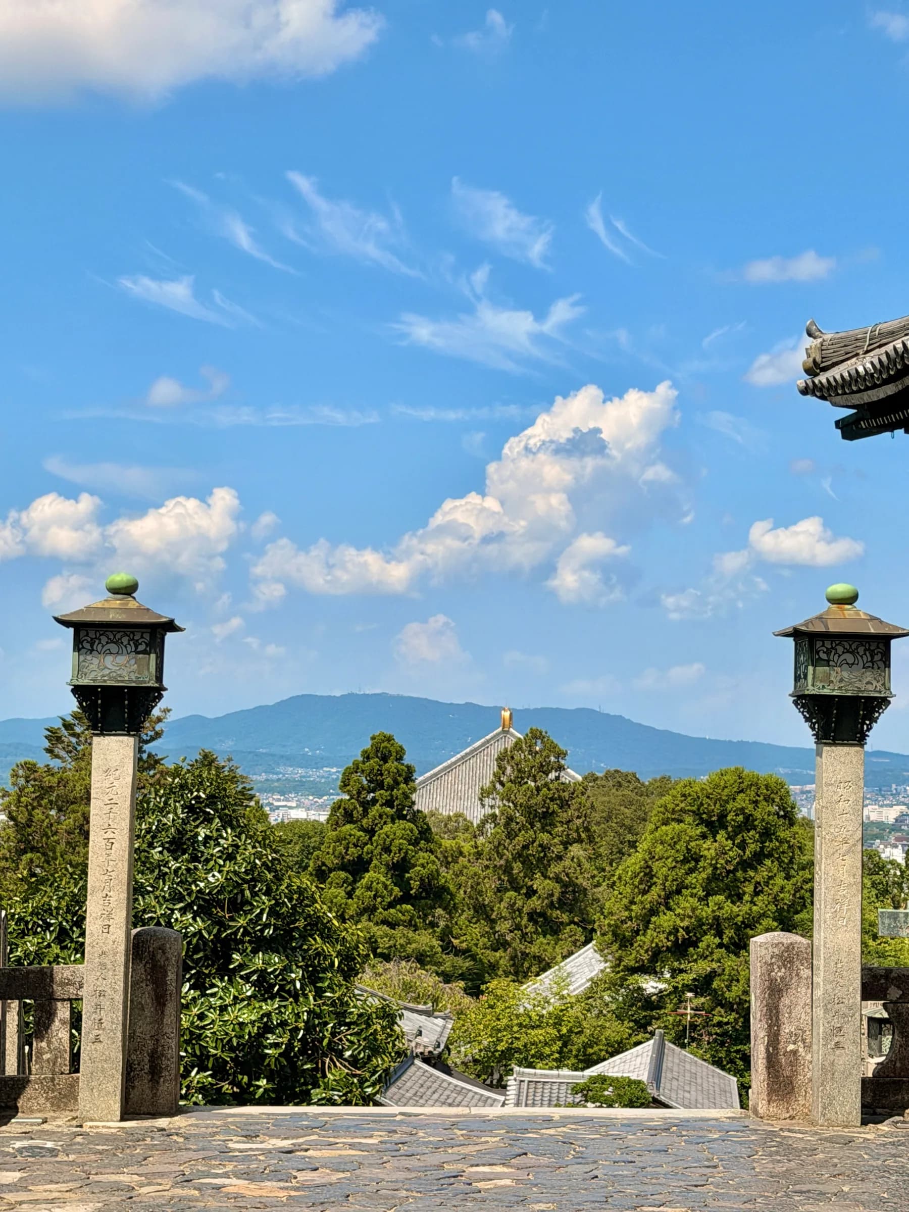 Nara en une matinée : cerfs sacrés, grand Bouddha et lanternes de Kasuga