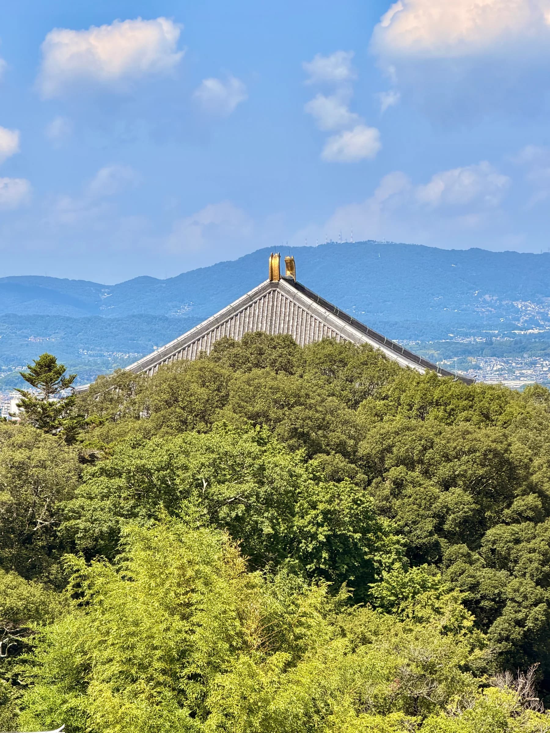 Nara en une matinée : cerfs sacrés, grand Bouddha et lanternes de Kasuga
