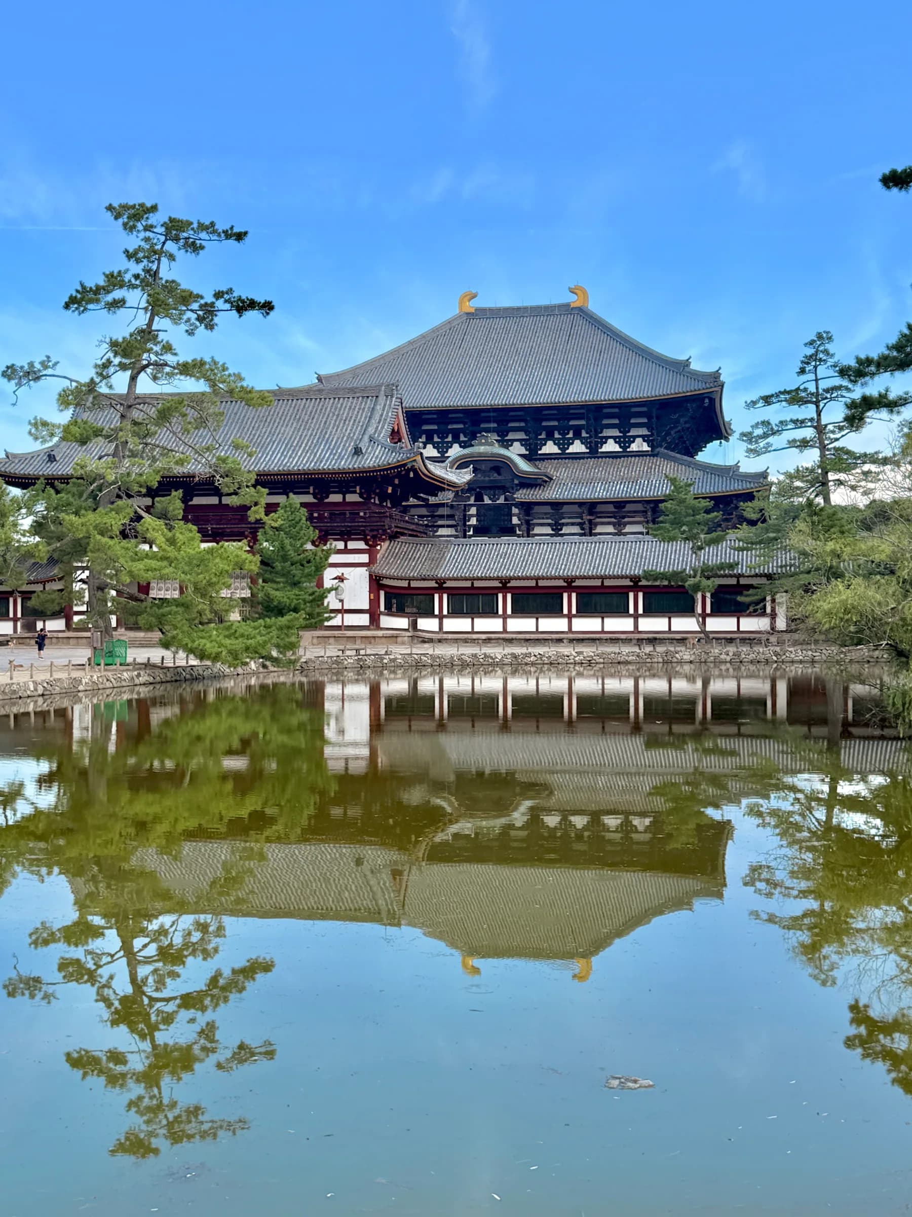 Nara en une matinée : cerfs sacrés, grand Bouddha et lanternes de Kasuga