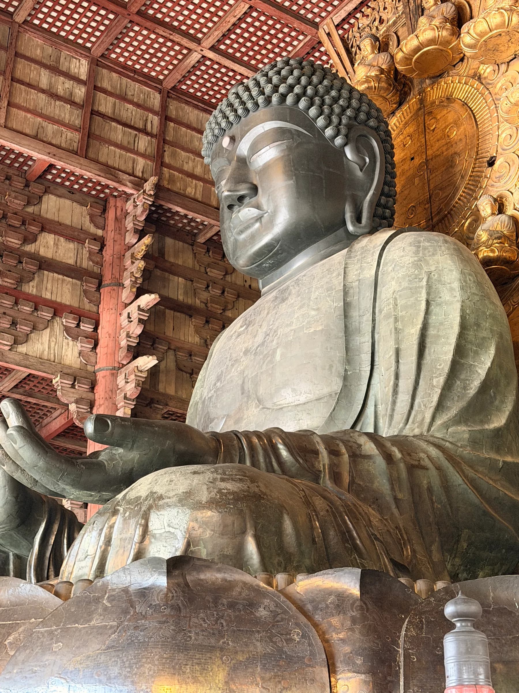 Nara en une matinée : cerfs sacrés, grand Bouddha et lanternes de Kasuga