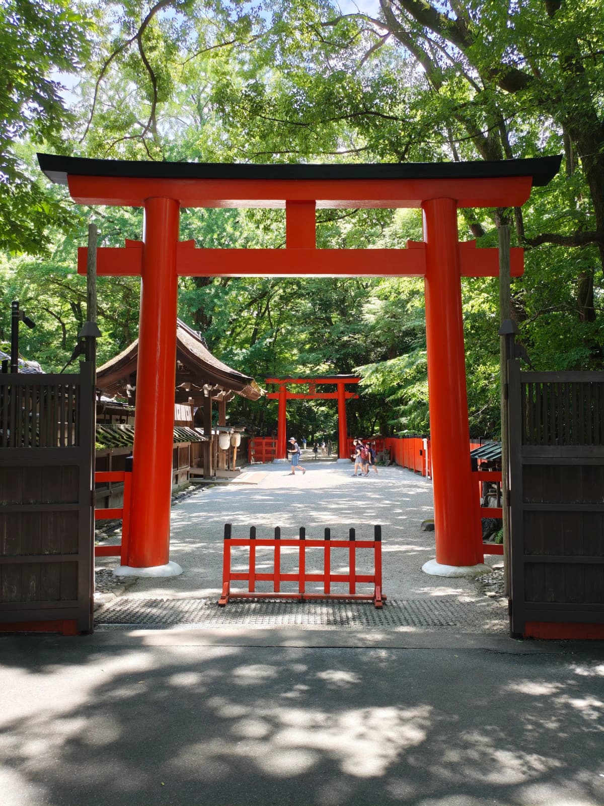 Nijo et Shimogamo à vélo : shoguns, tisserands de soie et forêt sacrée