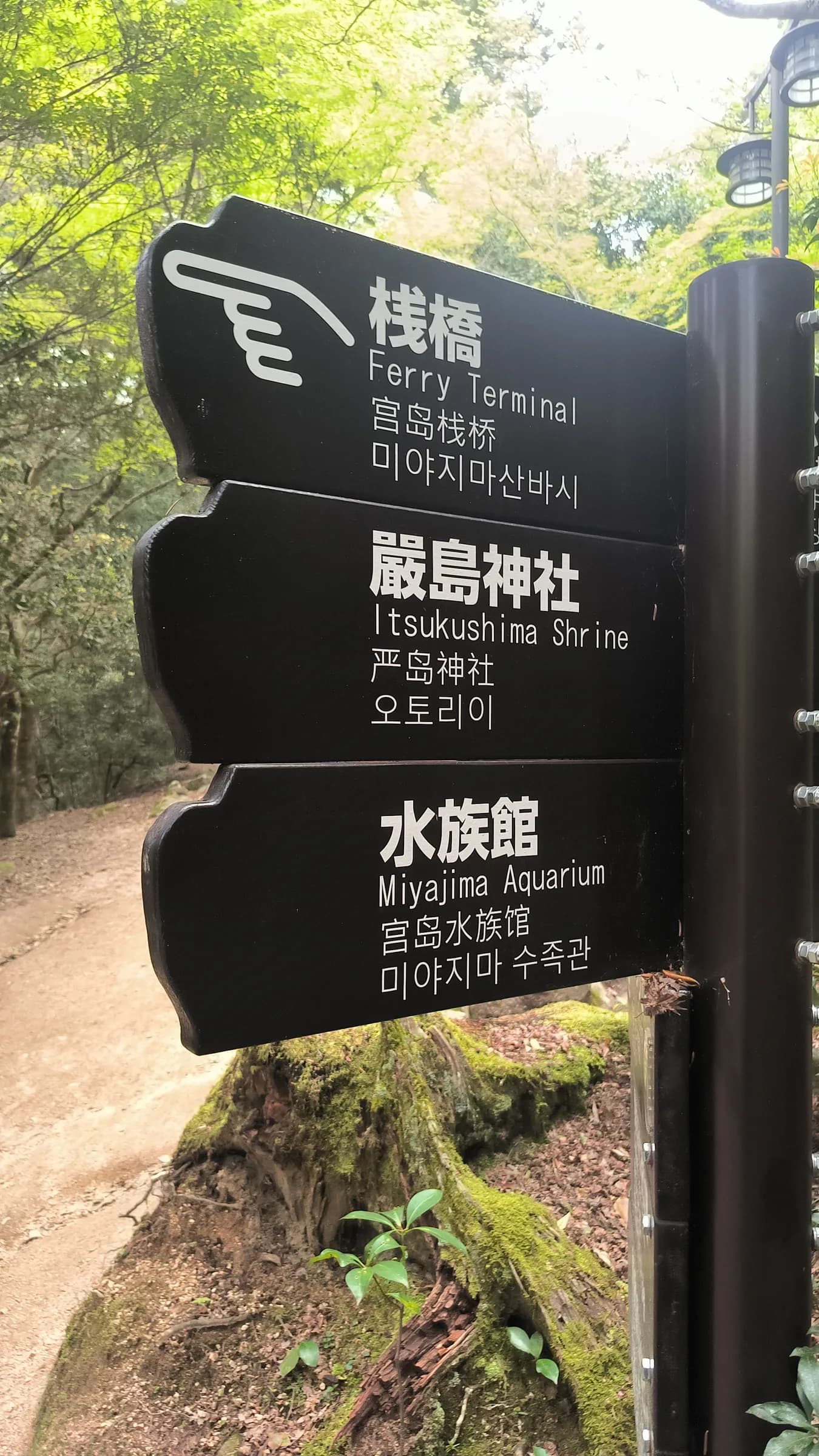 Transit to Hondori