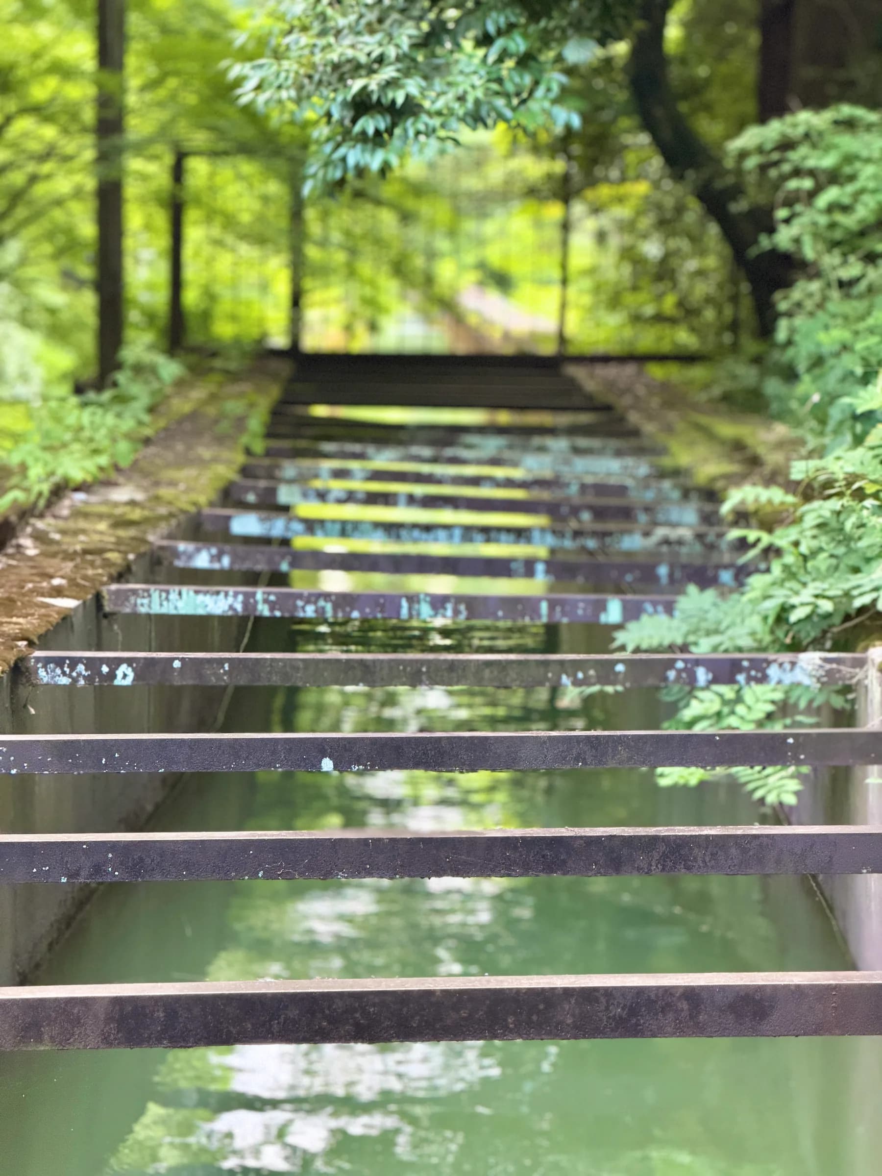 Kyoto Est à pied : Pavillon d'argent, chemin de la Philosophie et jardins zen