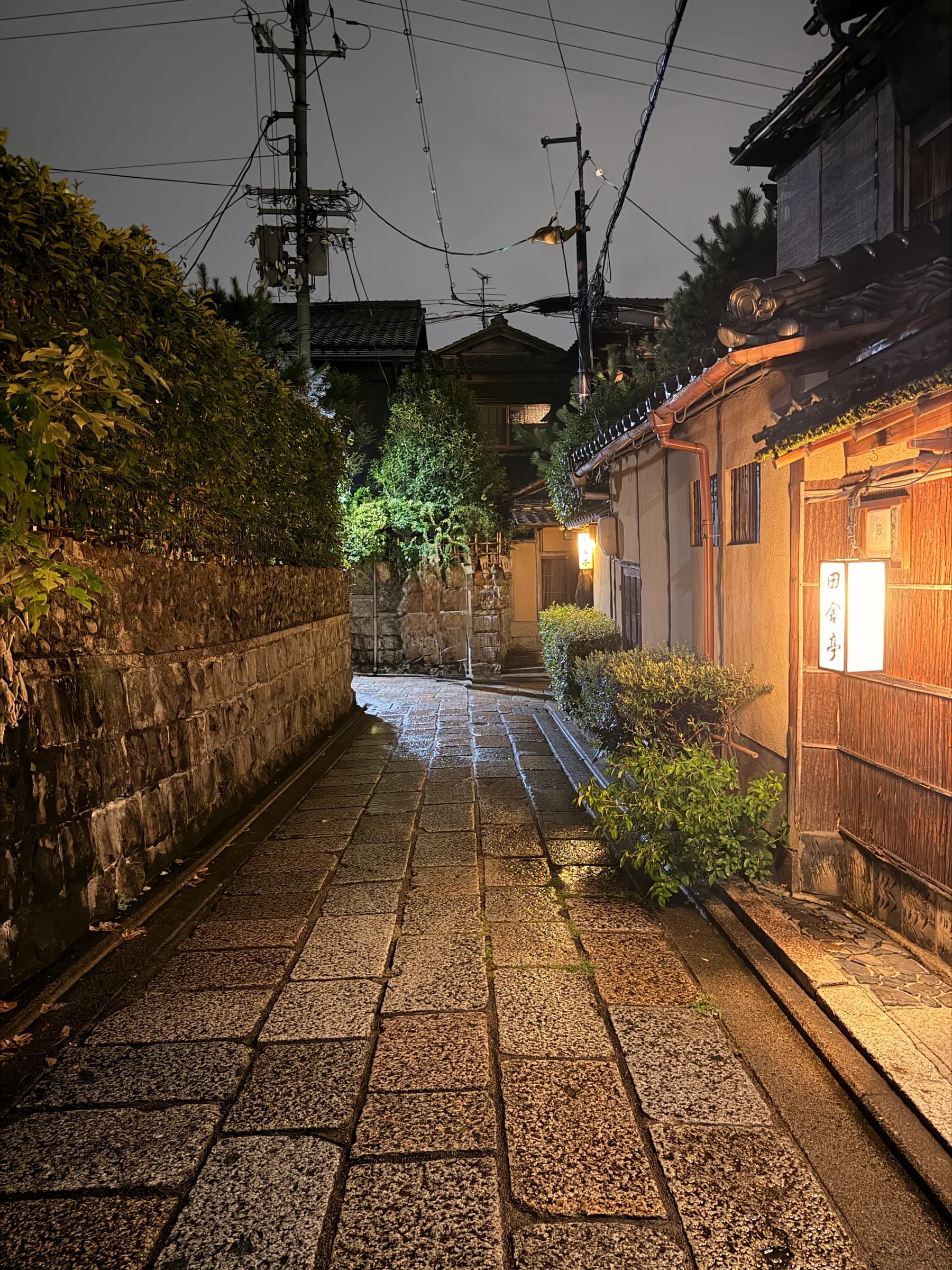 Gion at Night Walking Tour