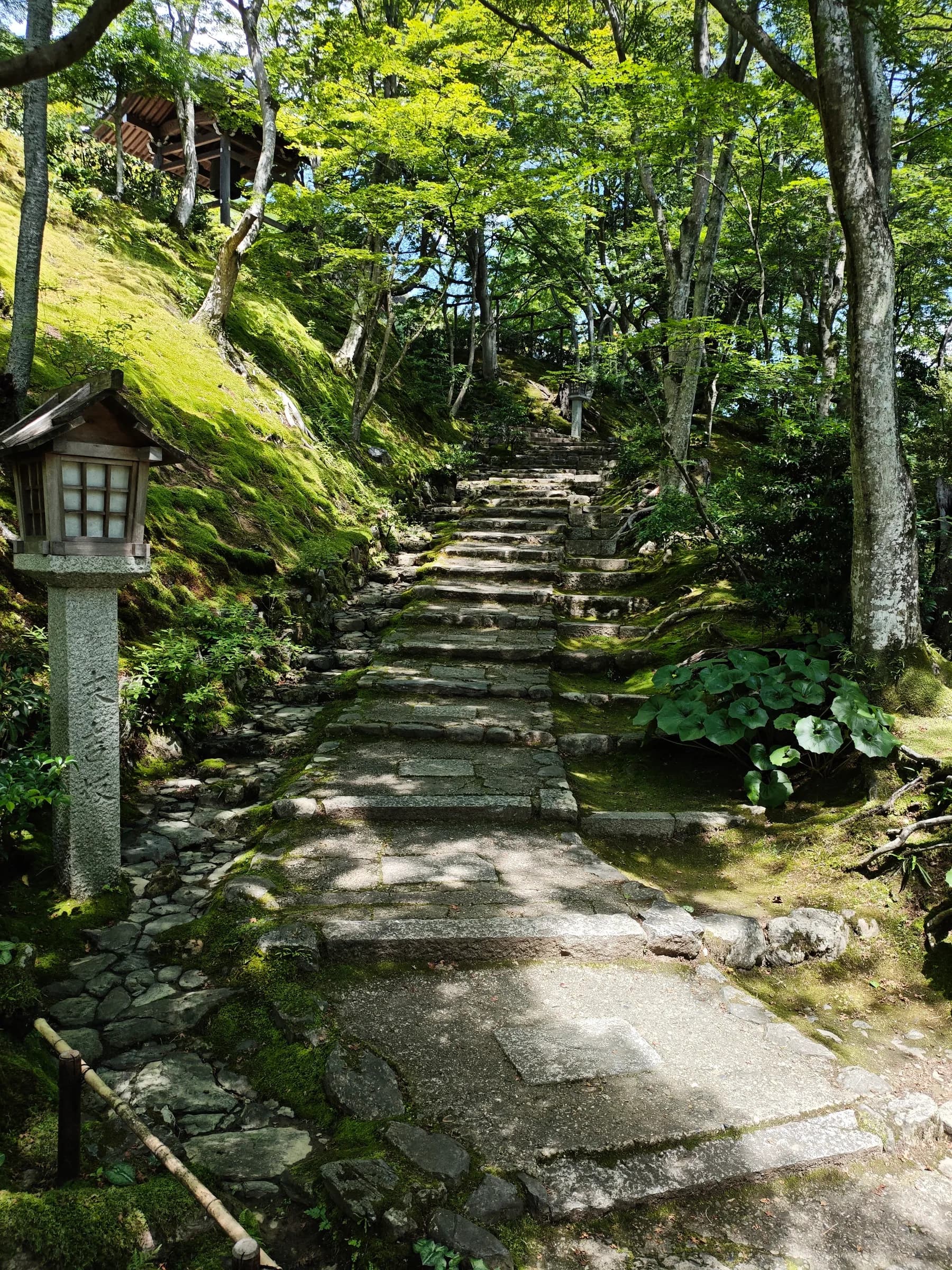 Arashiyama Bike Tour: Nature and Zen, from River to Bamboo