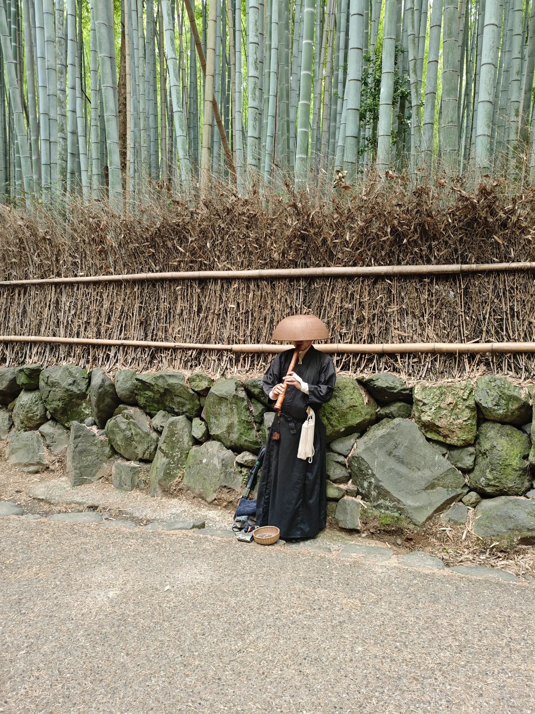 Arashiyama Bike Tour: Nature and Zen, from River to Bamboo