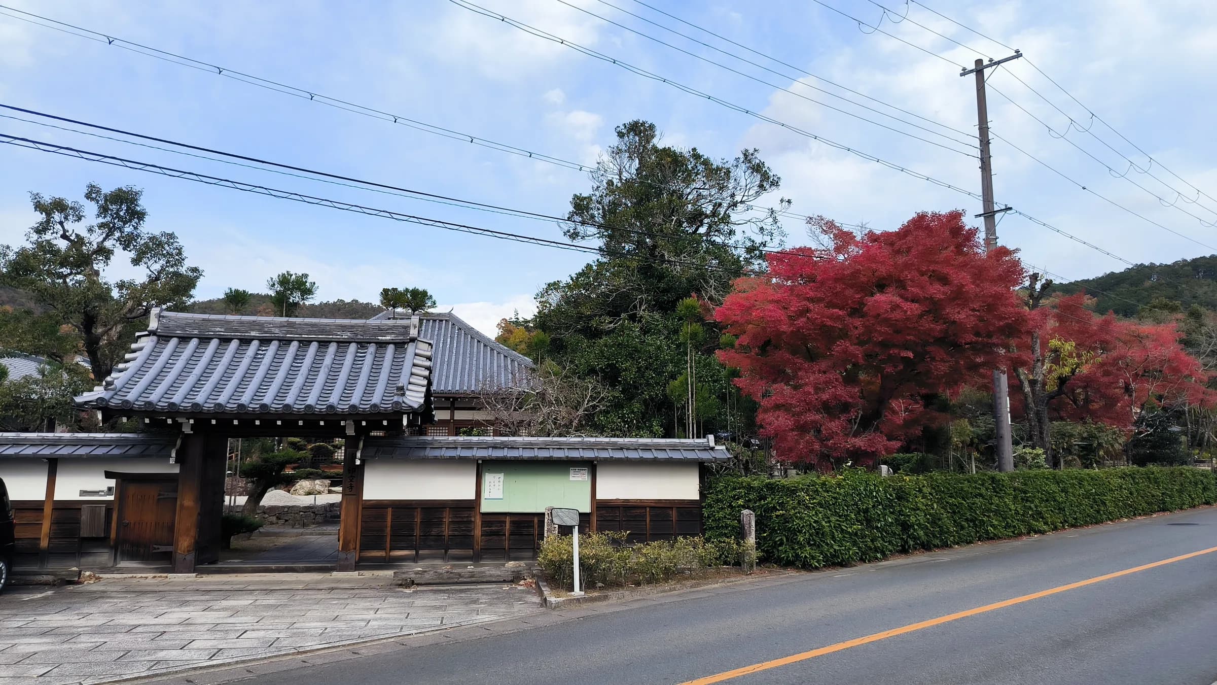 Arashiyama Bike Tour: Nature and Zen, from River to Bamboo