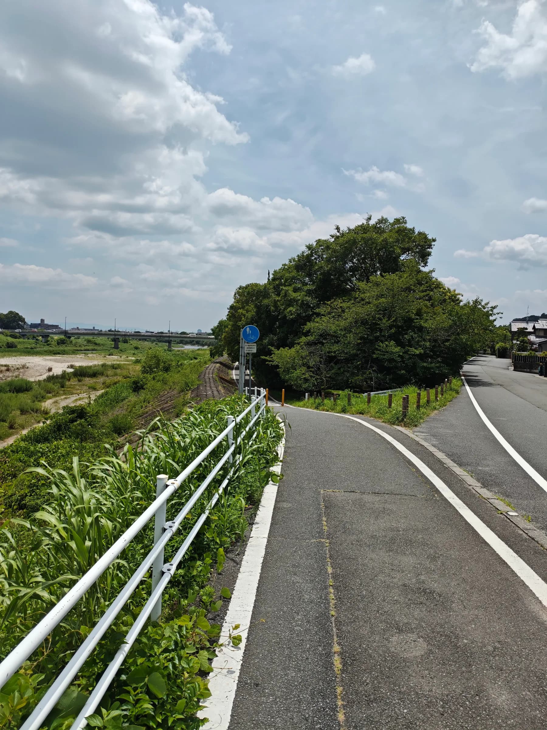 Arashiyama Bike Tour: Nature and Zen, from River to Bamboo