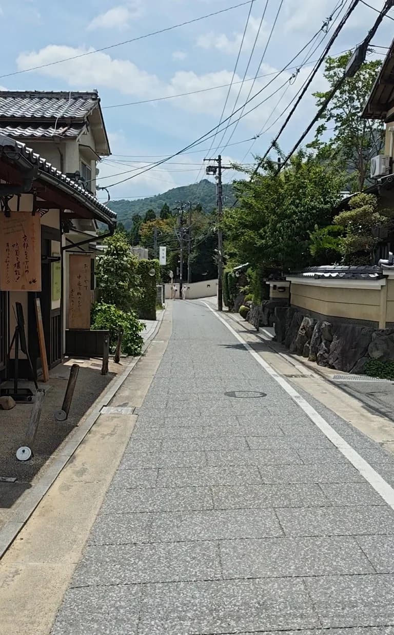 Saga-Torimoto preserved street
