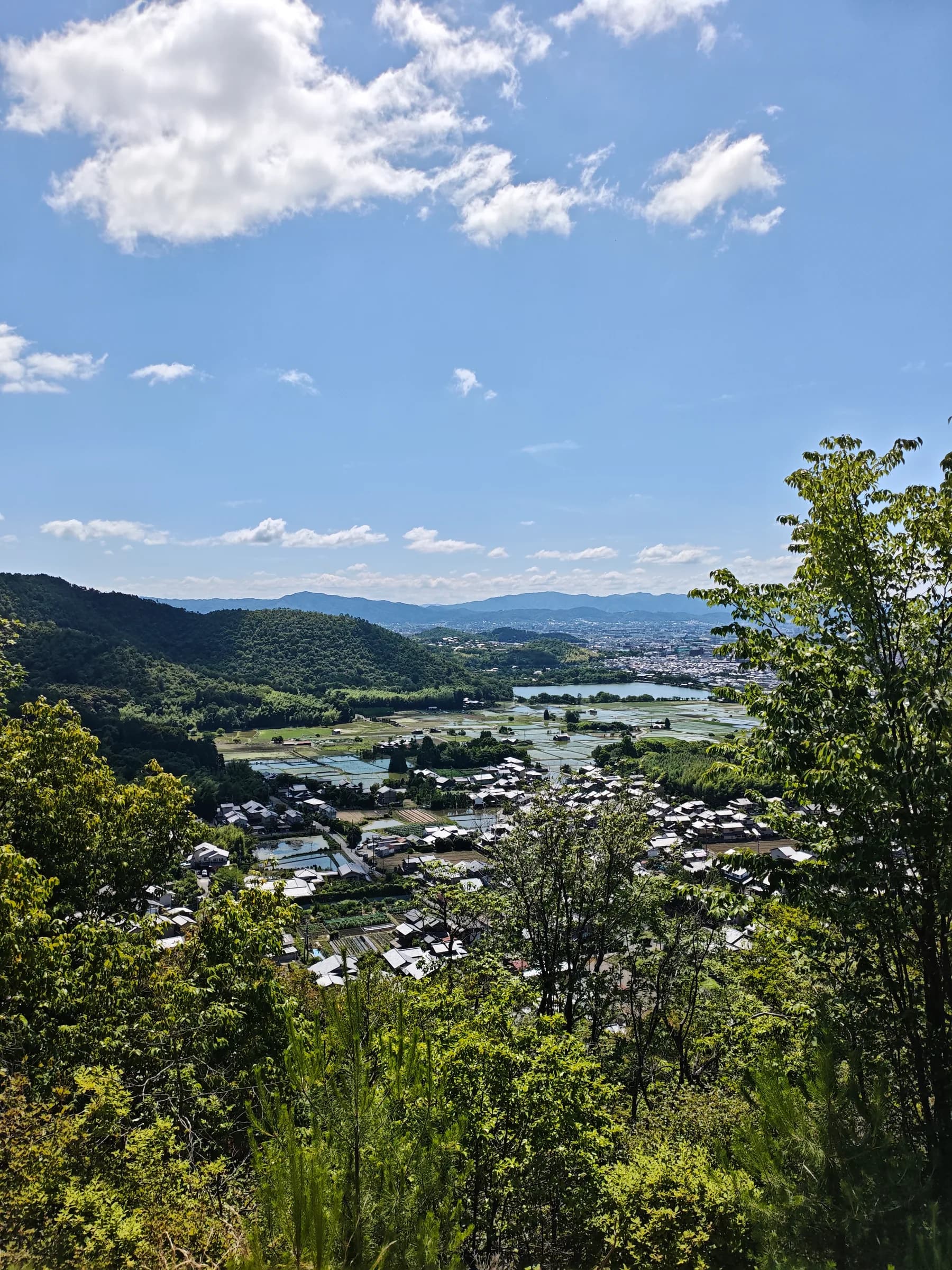 Arashiyama Bike Tour: Nature and Zen, from River to Bamboo