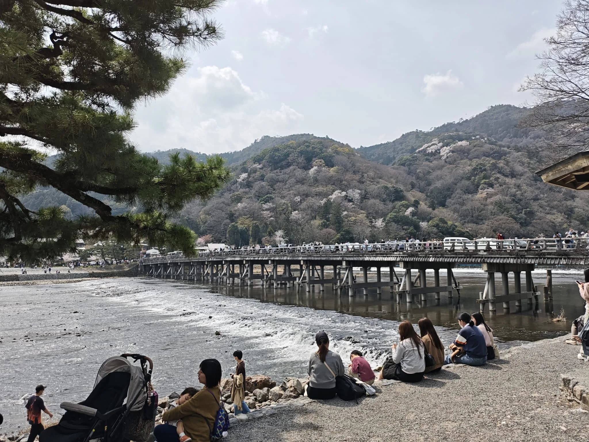 Arashiyama Bike Tour: Nature and Zen, from River to Bamboo