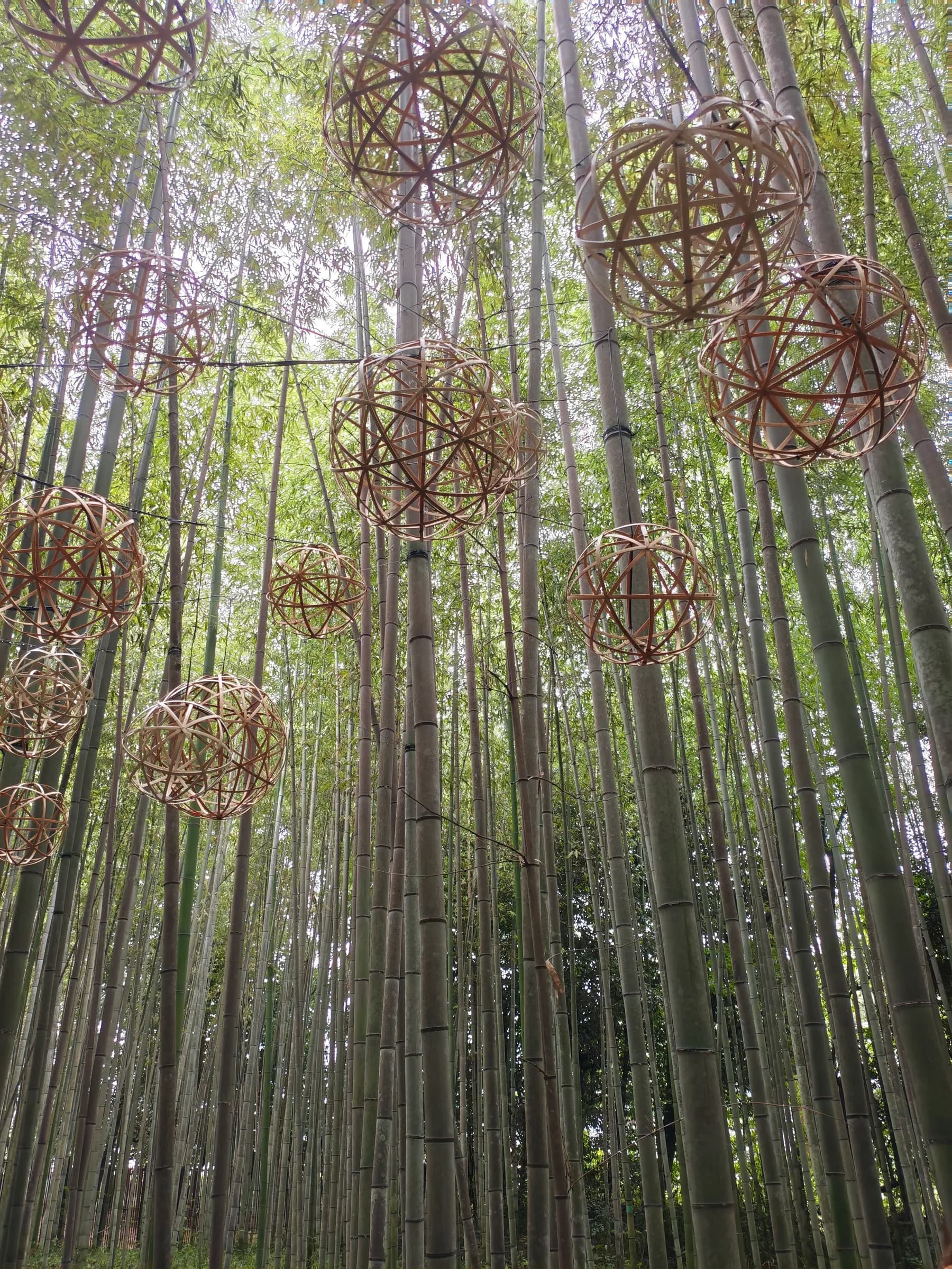 Arashiyama Bike Tour: Nature and Zen, from River to Bamboo