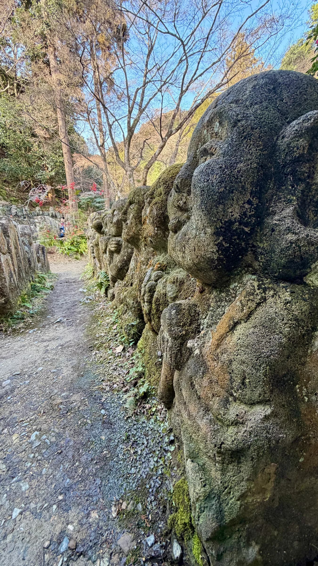 Arashiyama Bike Tour: Nature and Zen, from River to Bamboo