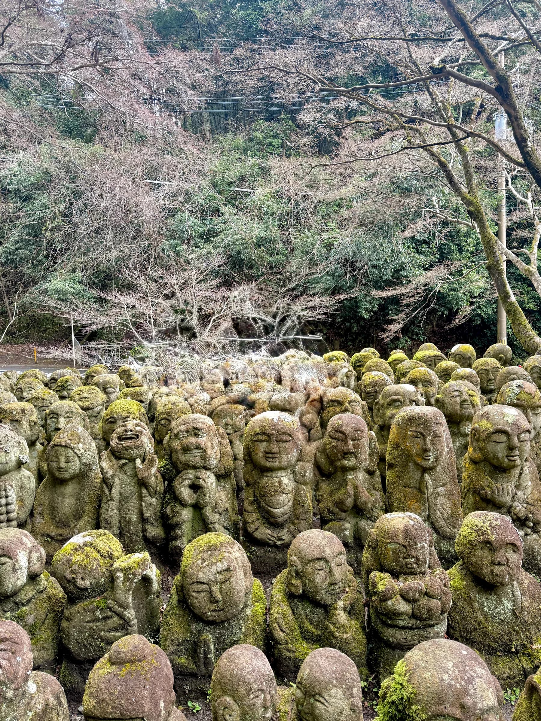 Arashiyama Bike Tour: Nature and Zen, from River to Bamboo