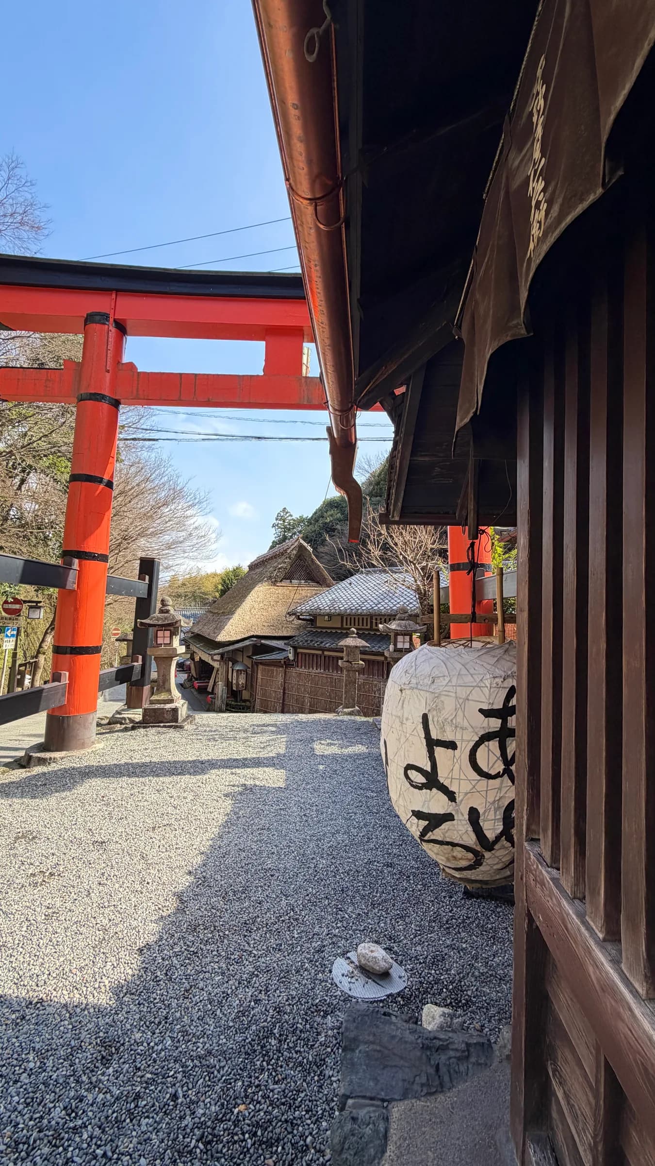 Arashiyama Bike Tour: Nature and Zen, from River to Bamboo