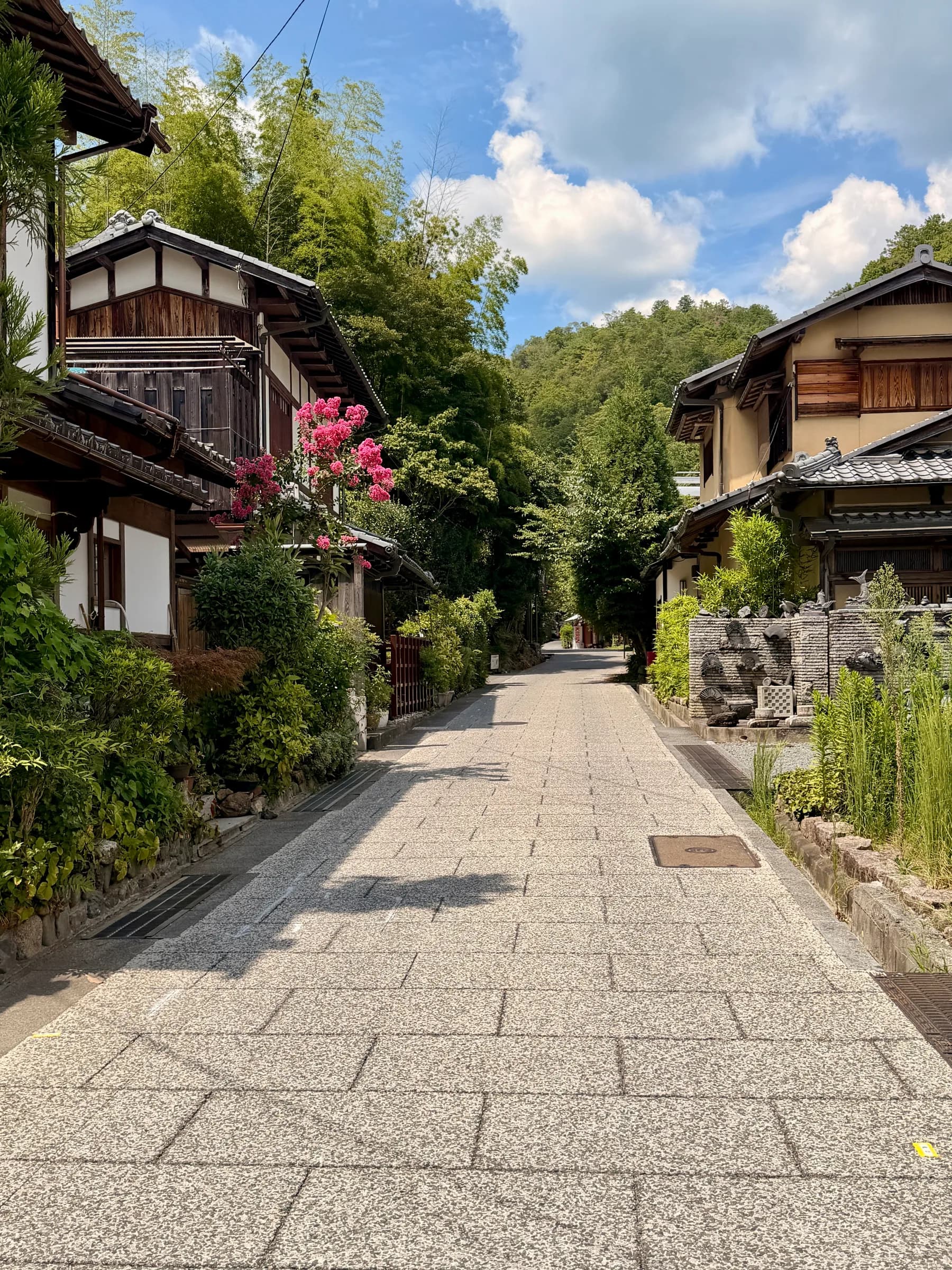 Arashiyama Bike Tour: Nature and Zen, from River to Bamboo
