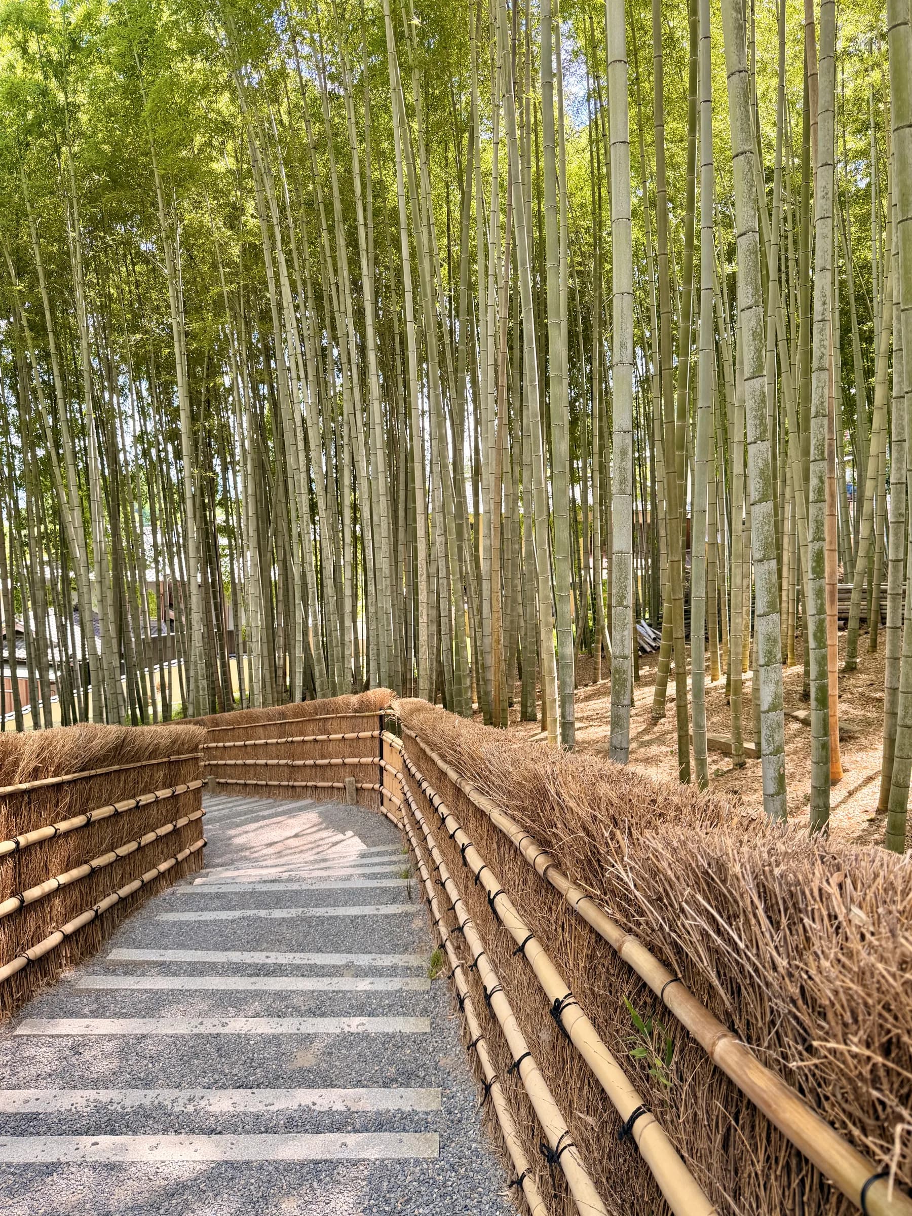 Arashiyama Bike Tour: Nature and Zen, from River to Bamboo
