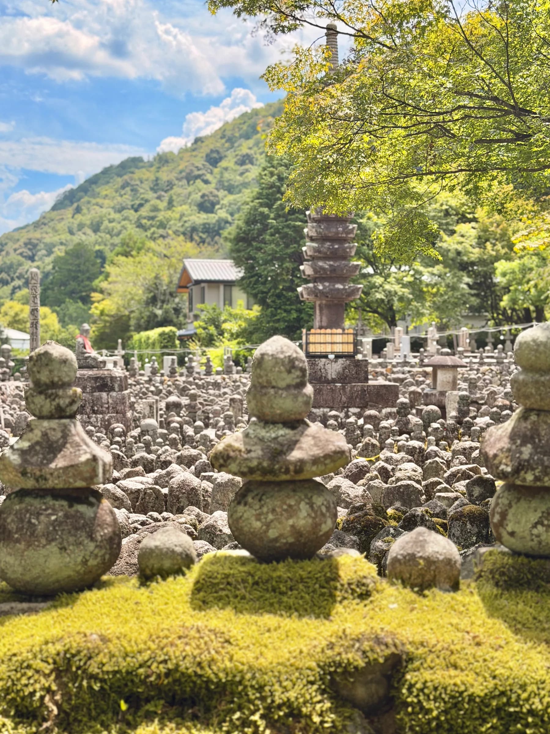 Arashiyama Bike Tour: Nature and Zen, from River to Bamboo