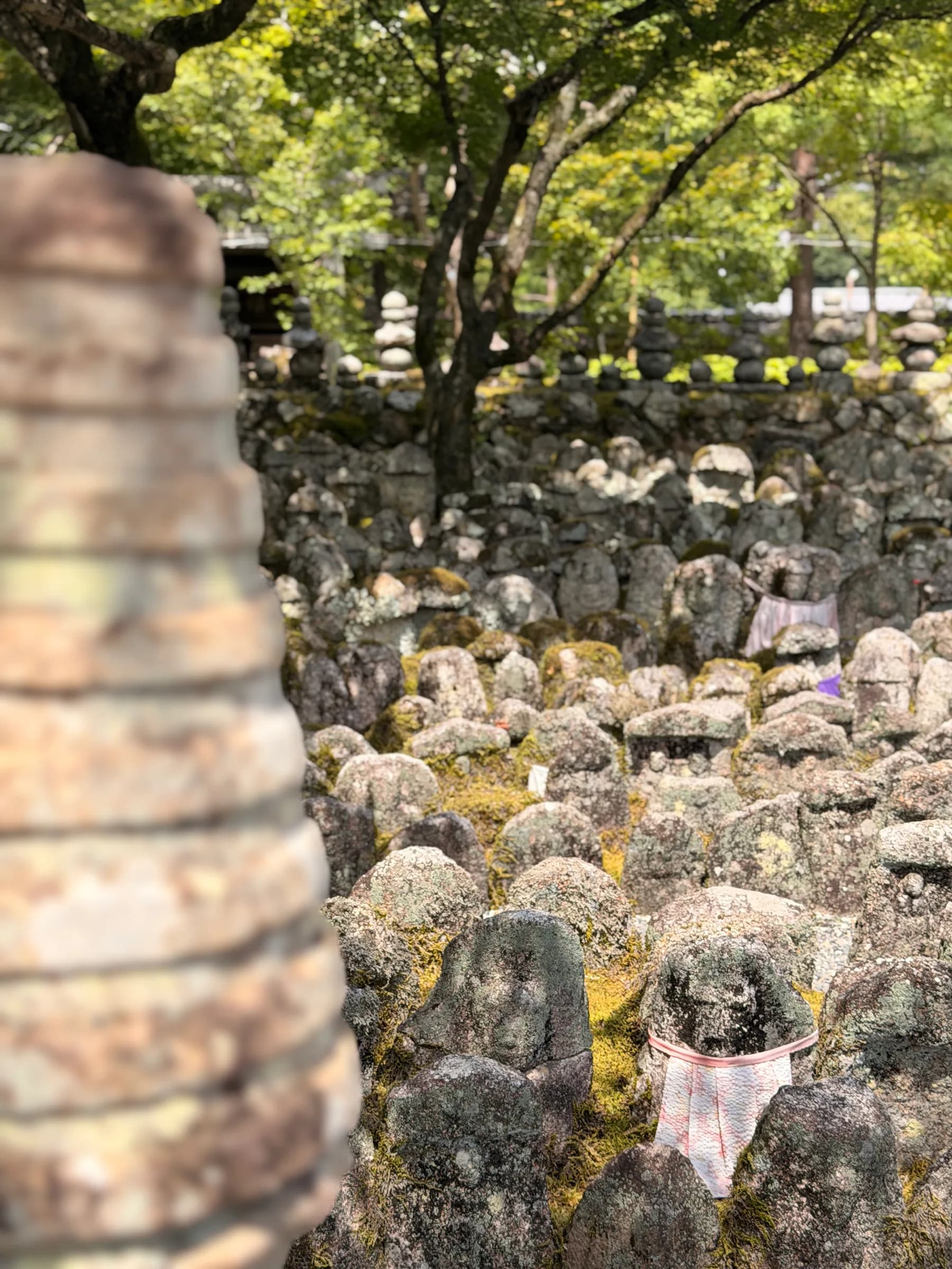 Arashiyama Bike Tour: Nature and Zen, from River to Bamboo