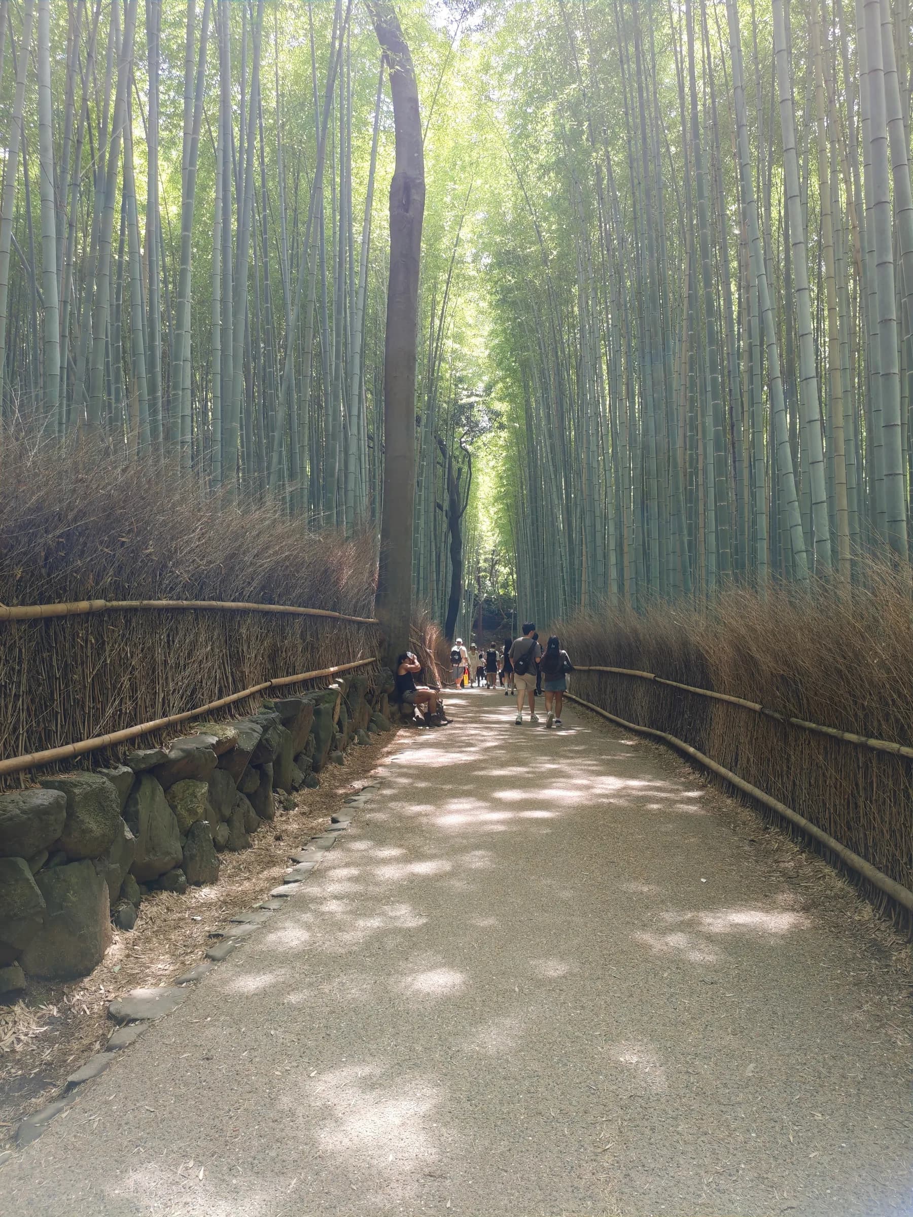 Nagaokakyo & Arashiyama Full-Day Walk: Forgotten Shrines, River and Bamboo Grove
