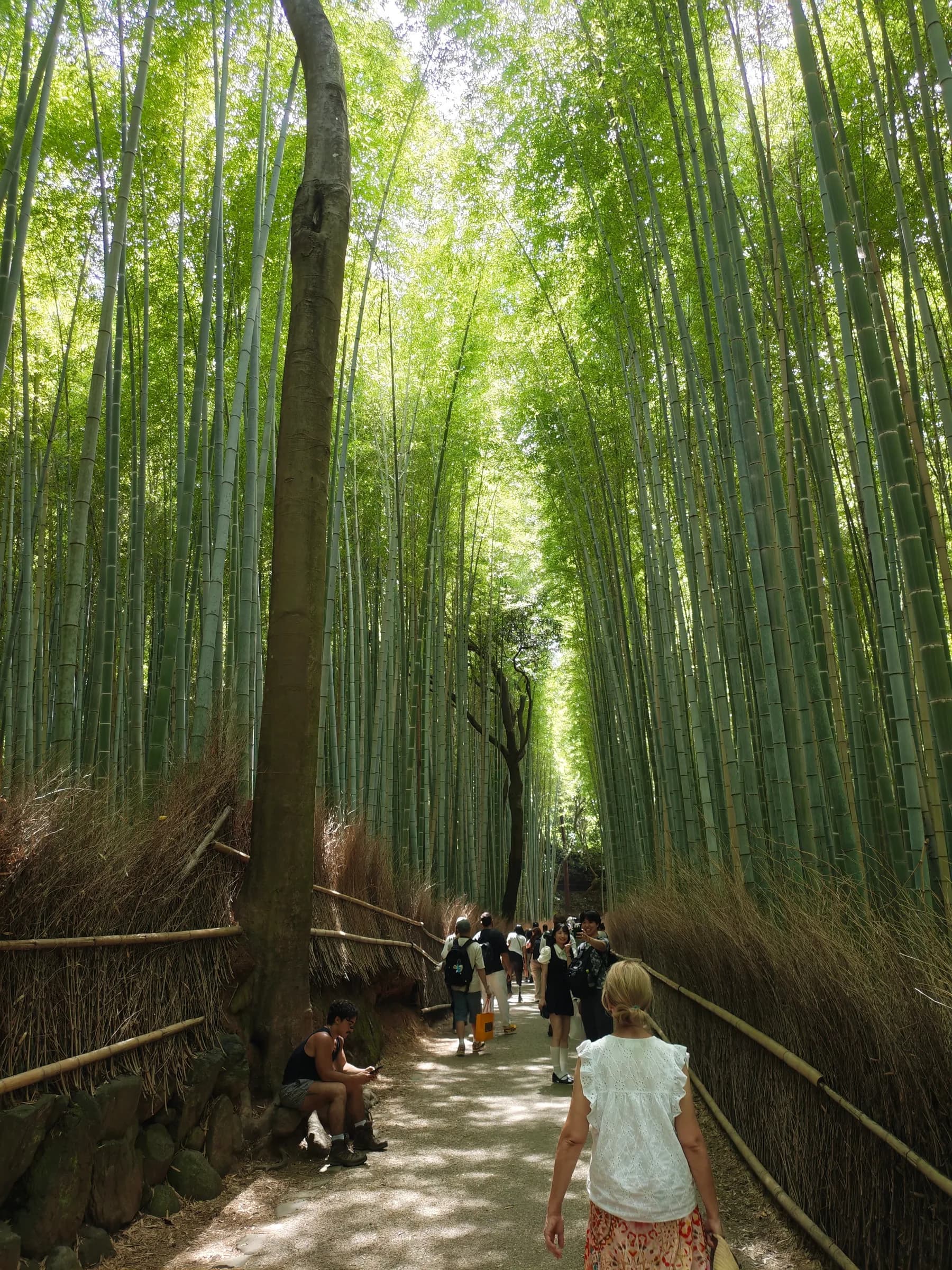 Arashiyama Park and Bamboo Path