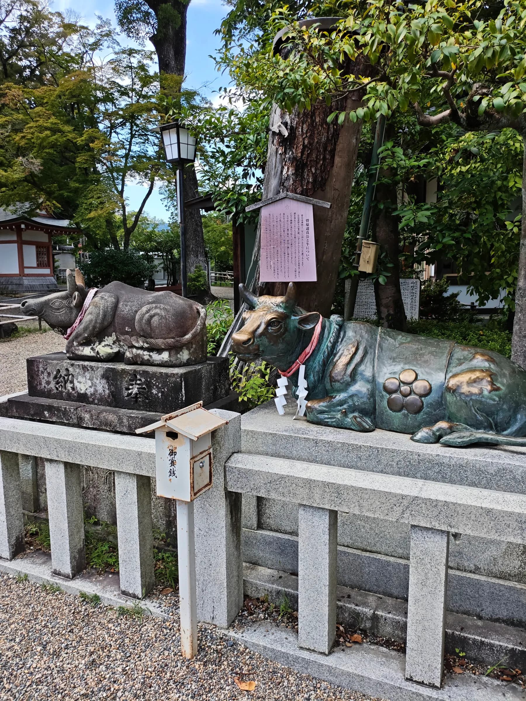 Nagaokakyo & Arashiyama Full-Day Walk: Forgotten Shrines, River and Bamboo Grove