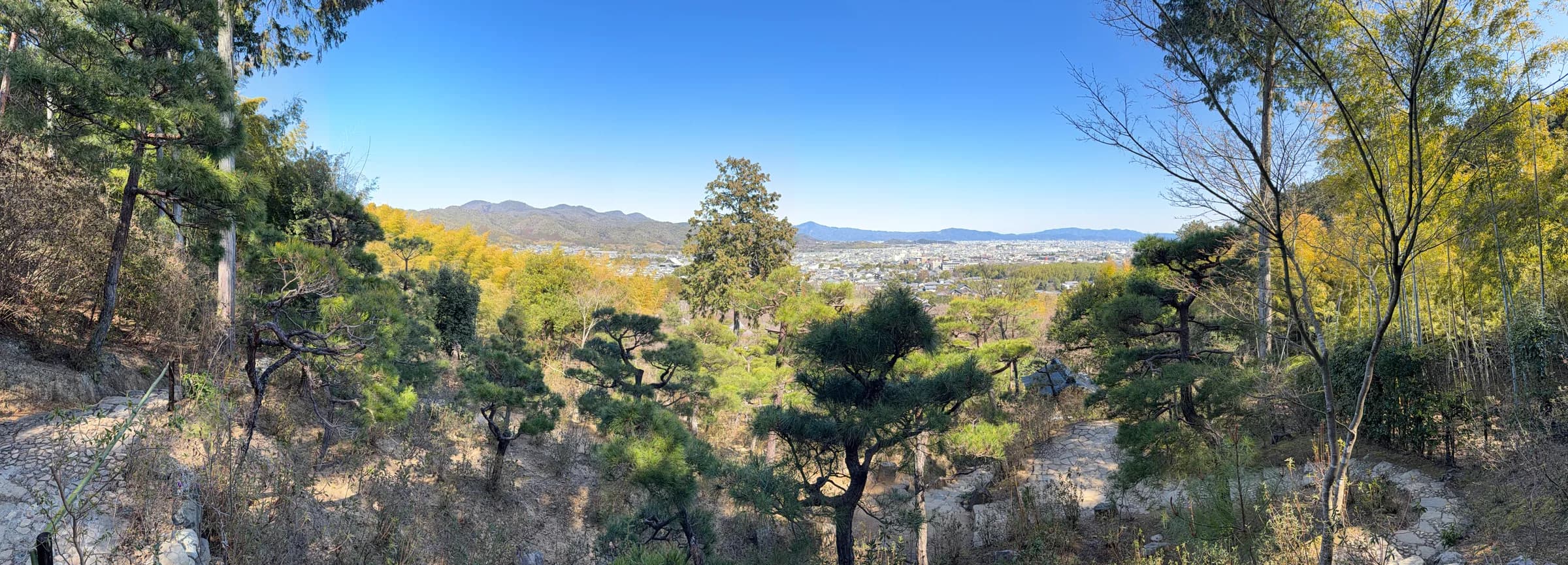 Nagaokakyo & Arashiyama Full-Day Walk: Forgotten Shrines, River and Bamboo Grove