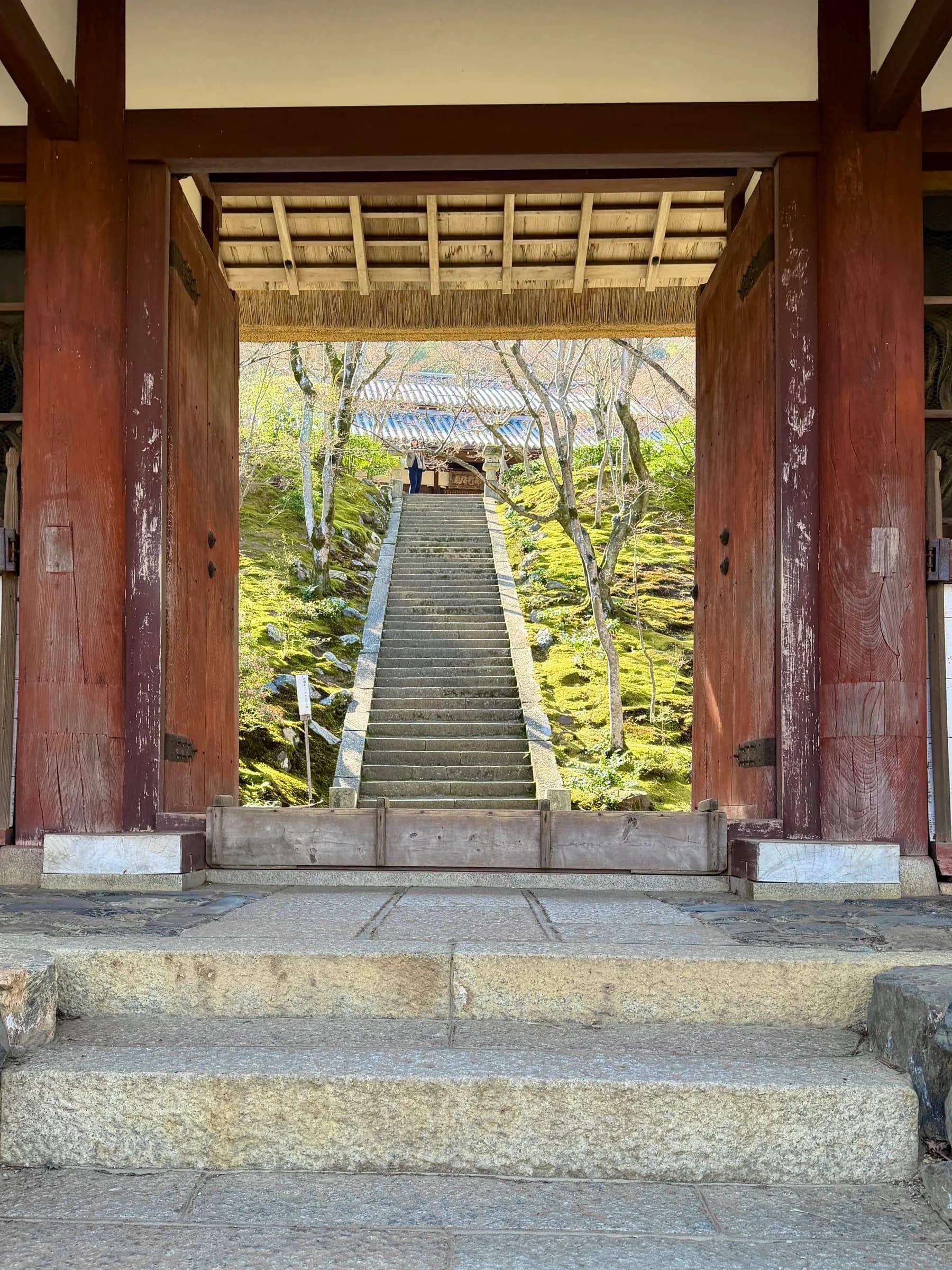 Nagaokakyo & Arashiyama Full-Day Walk: Forgotten Shrines, River and Bamboo Grove