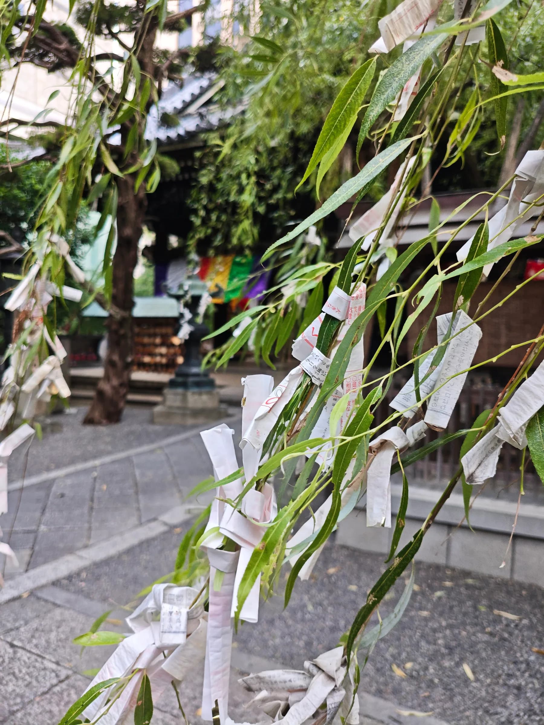 From Nishiki Market to Gion: Local Flavours, Temples and Geisha Lanes
