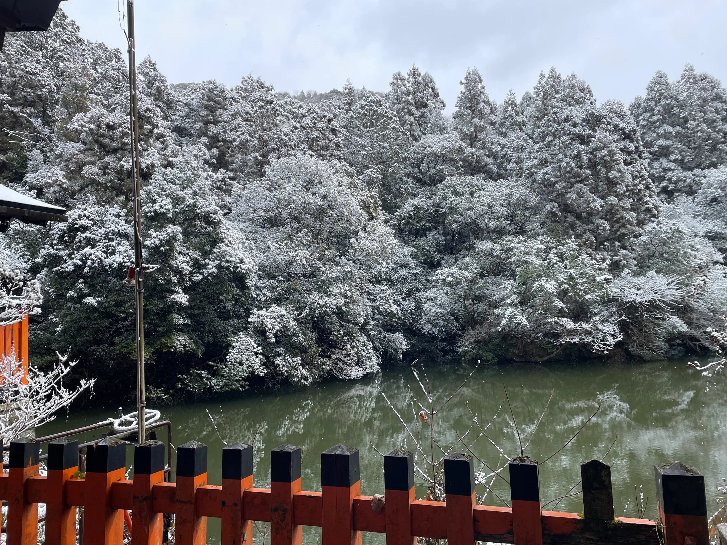Fushimi Inari Walking Tour: 1,000 Torii, a Samurai Castle & Sake Breweries