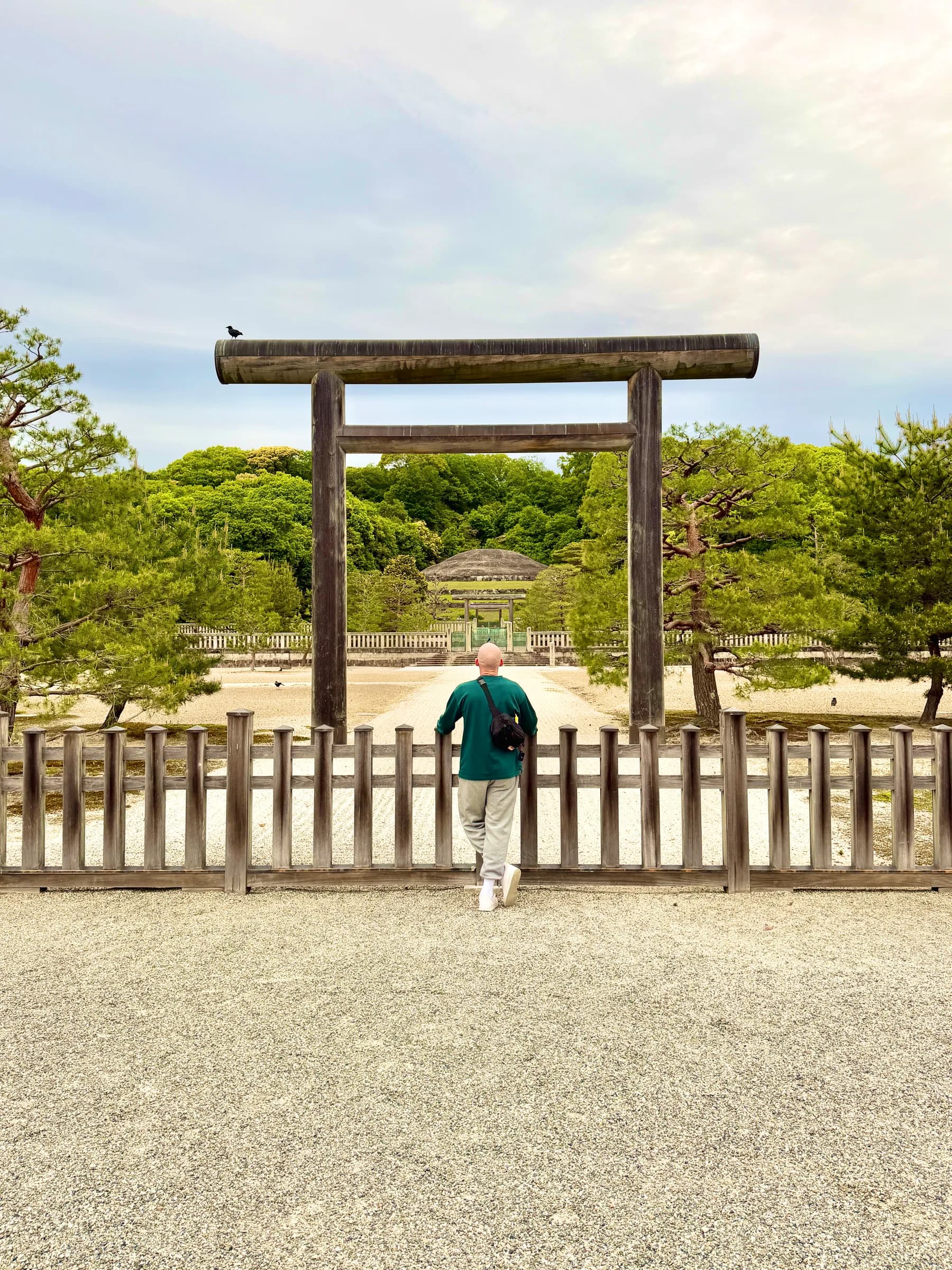 Fushimi Inari Walking Tour: 1,000 Torii, a Samurai Castle & Sake Breweries