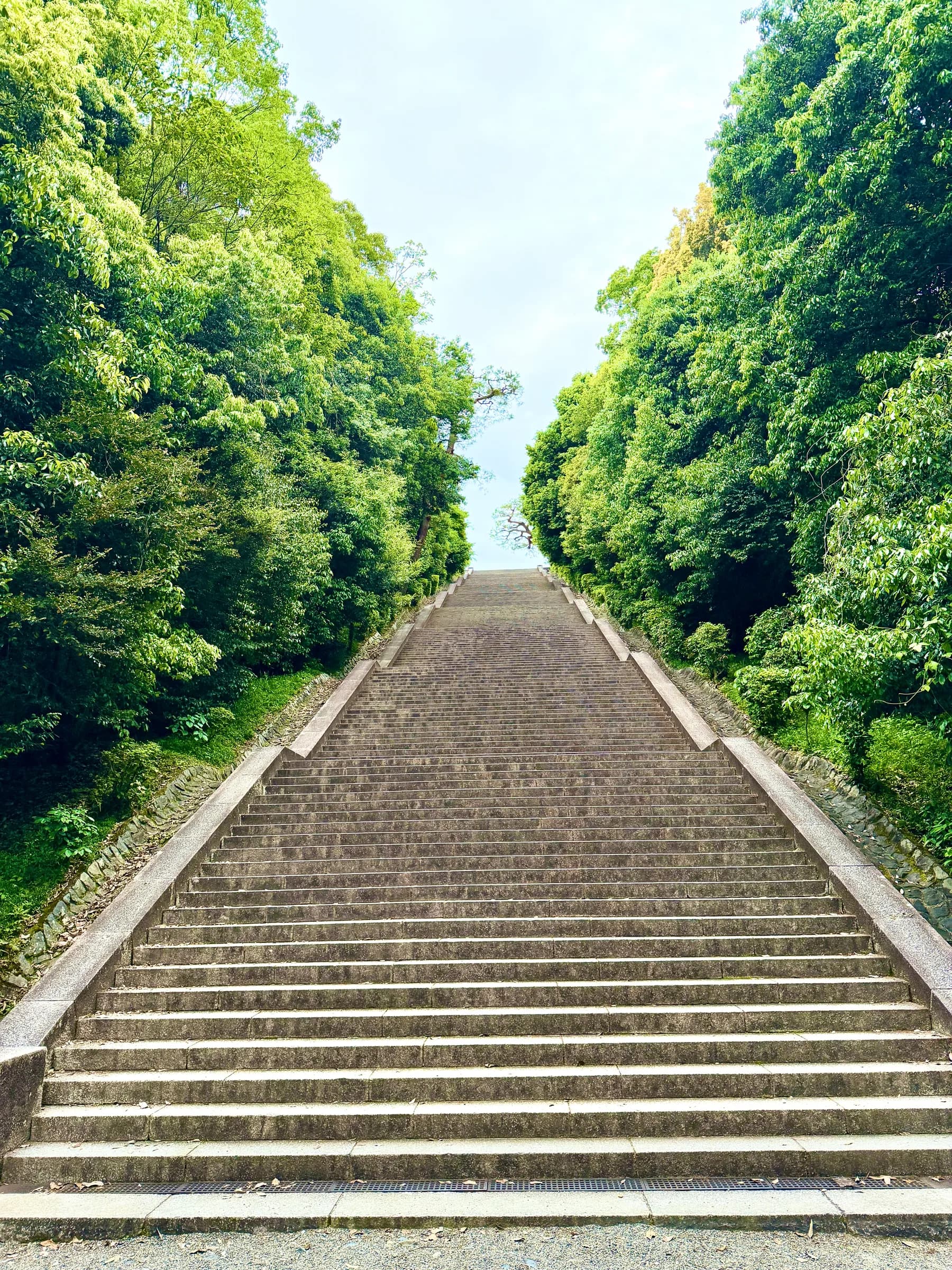 Fushimi Inari Walking Tour: 1,000 Torii, a Samurai Castle & Sake Breweries
