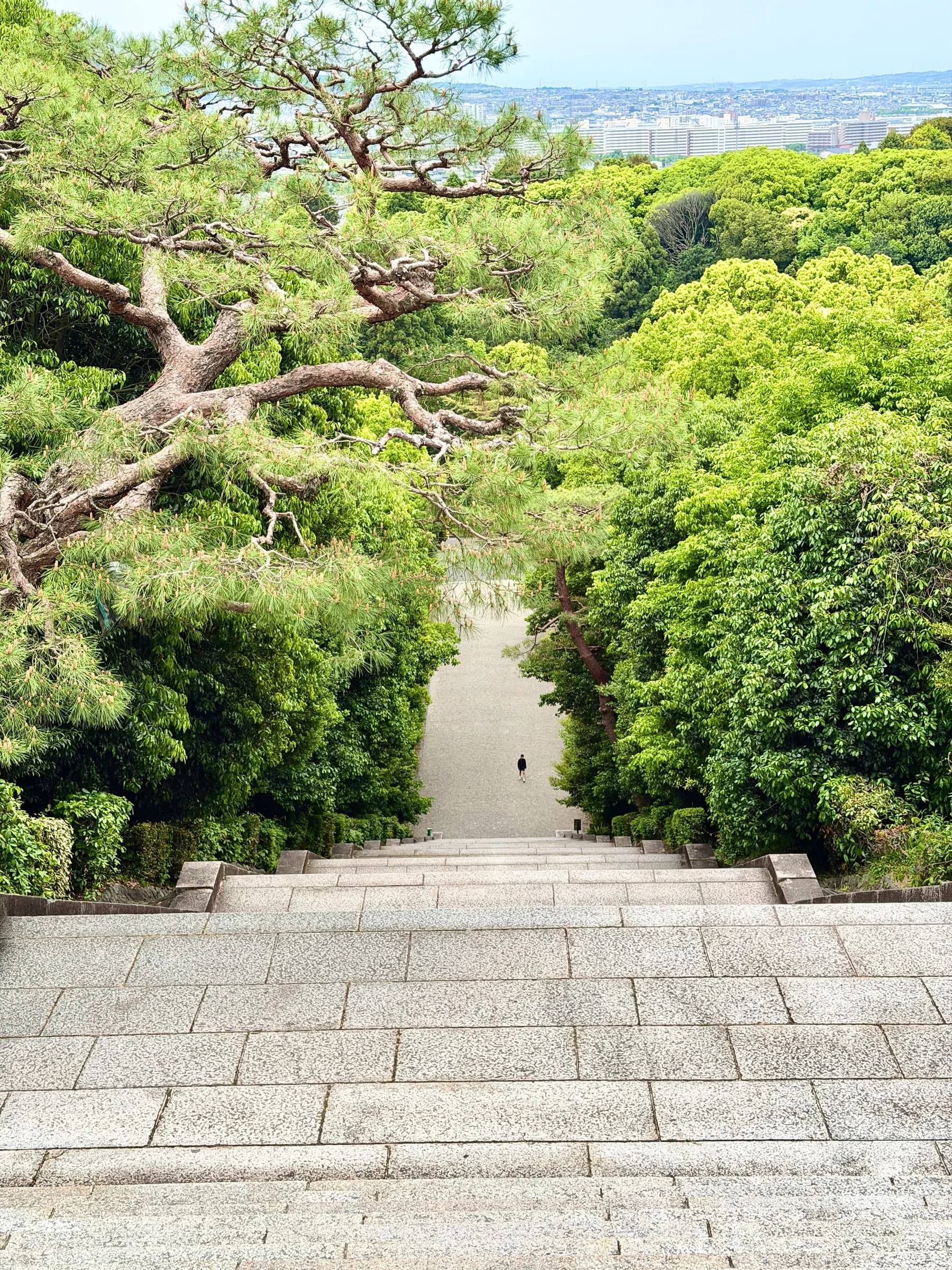 Fushimi Inari Walking Tour: 1,000 Torii, a Samurai Castle & Sake Breweries