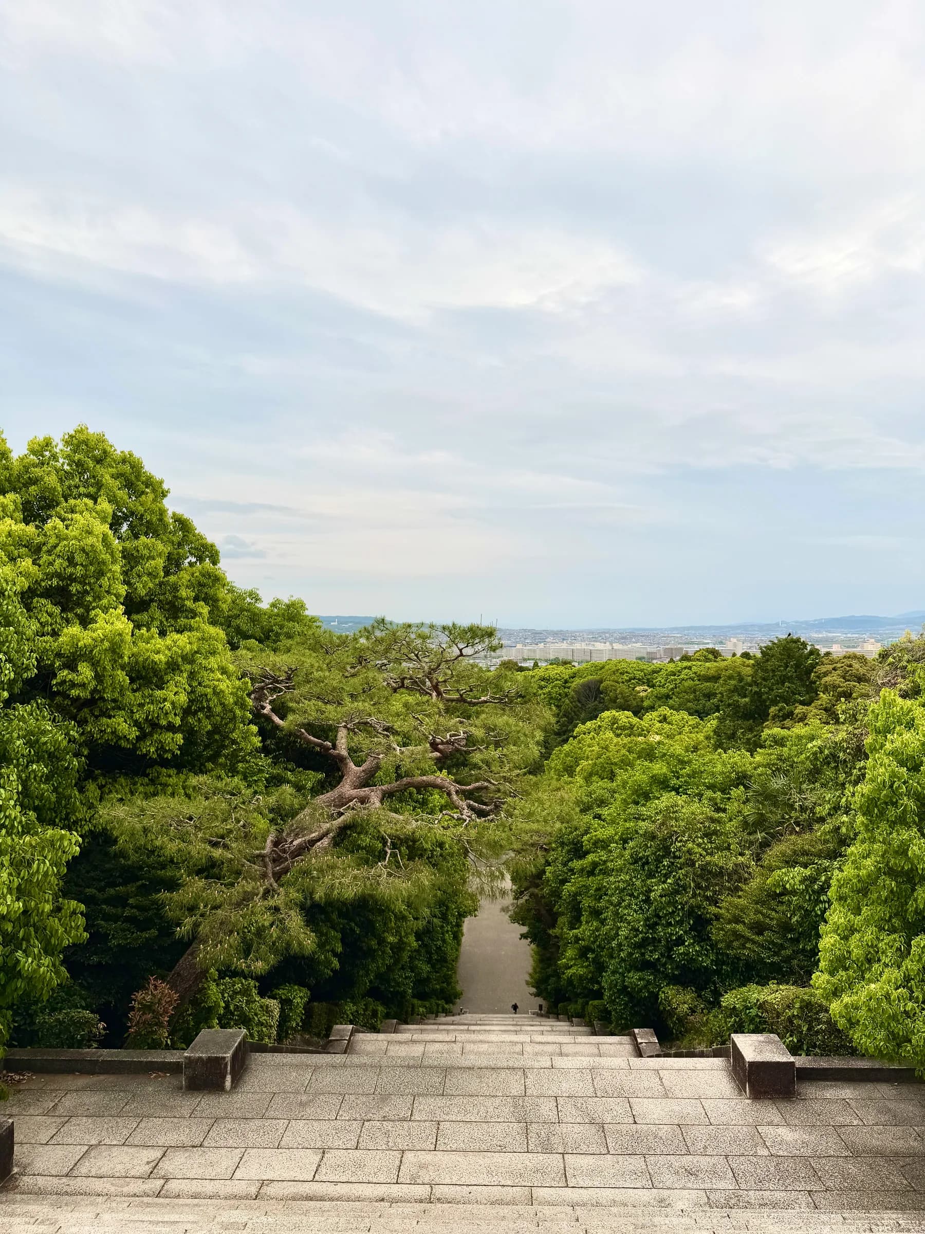 Fushimi Inari Walking Tour: 1,000 Torii, a Samurai Castle & Sake Breweries