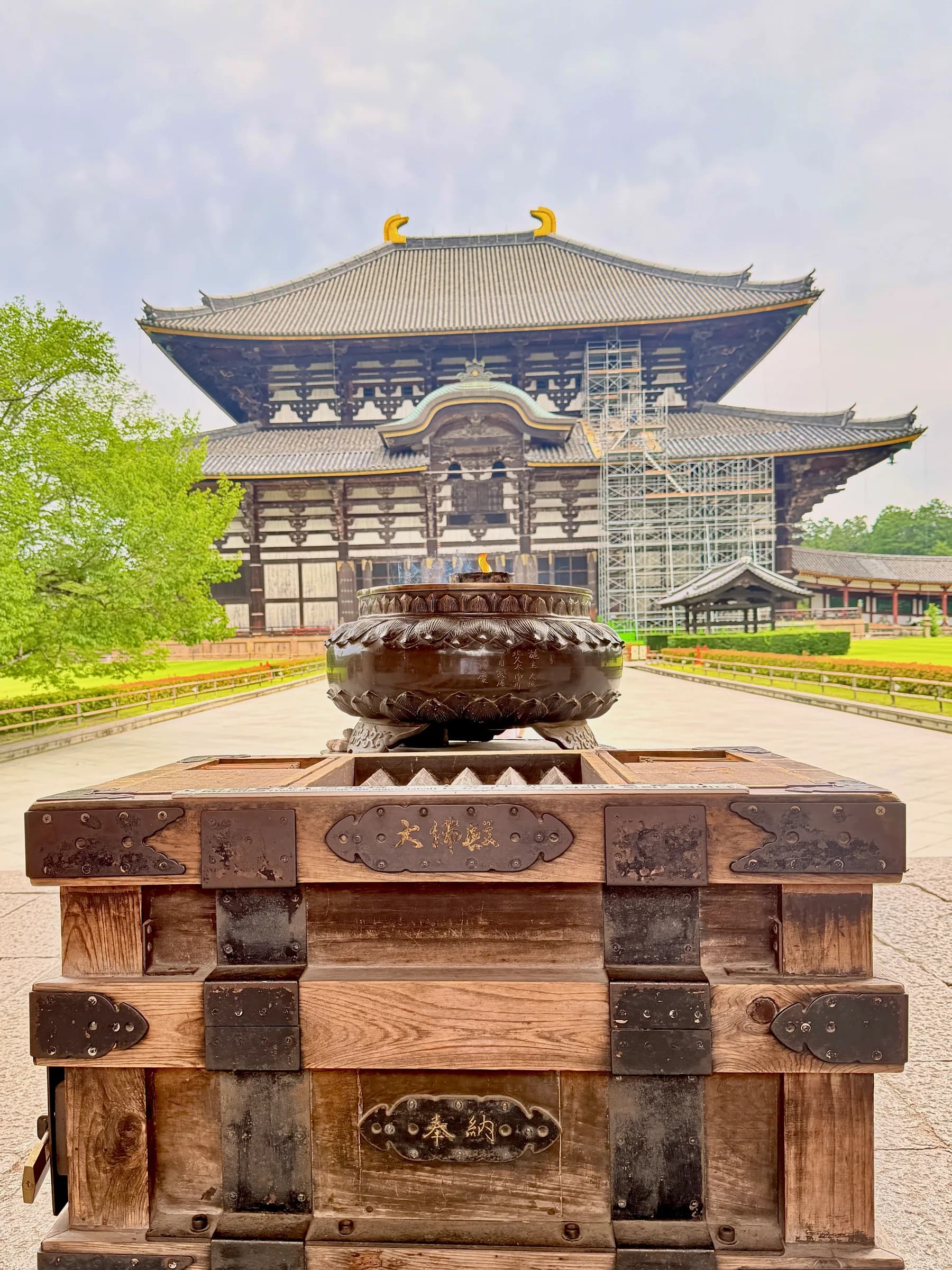 Nara Walking Tour: World Heritage, Sacred Deer, Ancient Forest and Old Town
