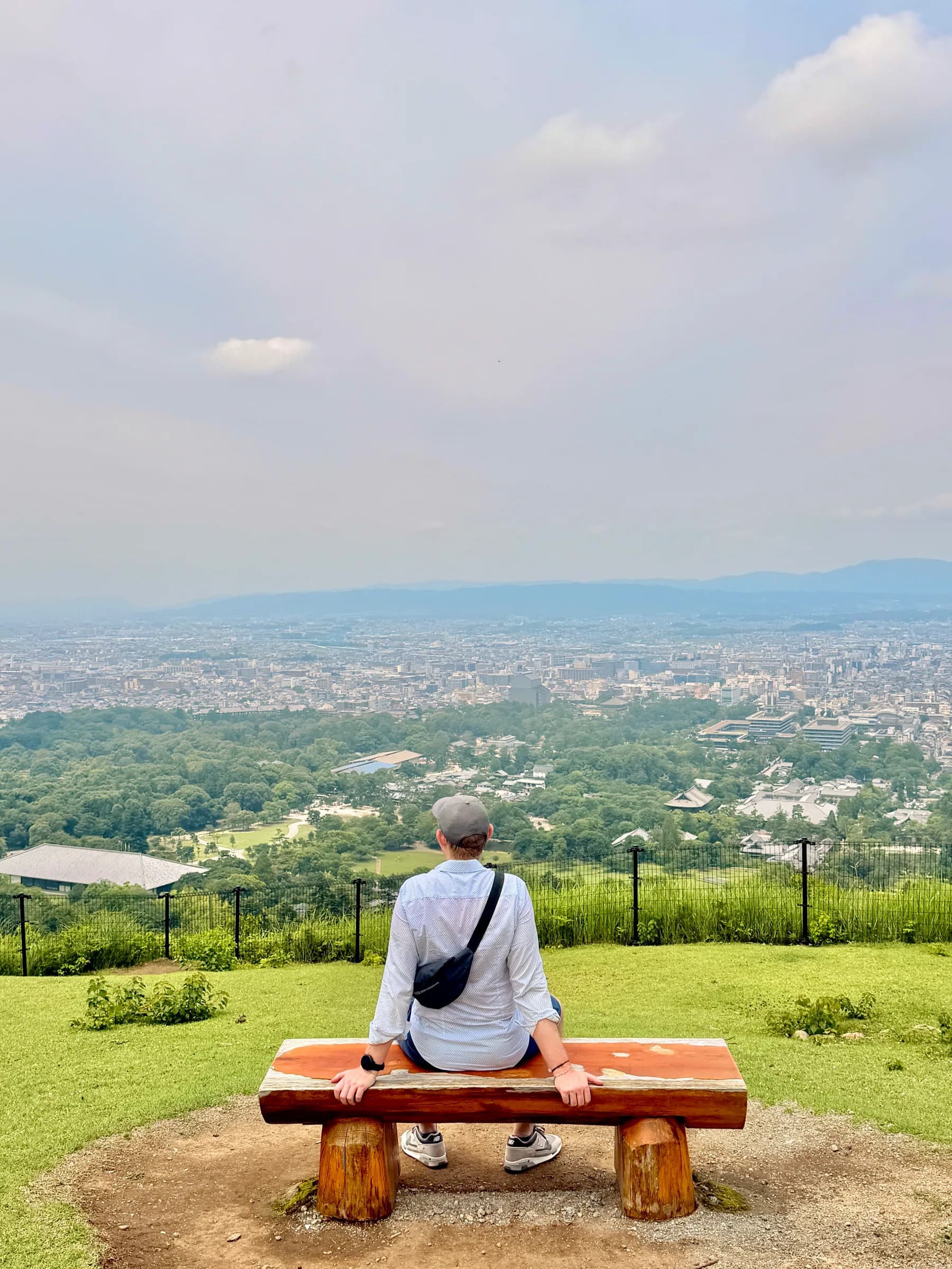 Nara Walking Tour: World Heritage, Sacred Deer, Ancient Forest and Old Town