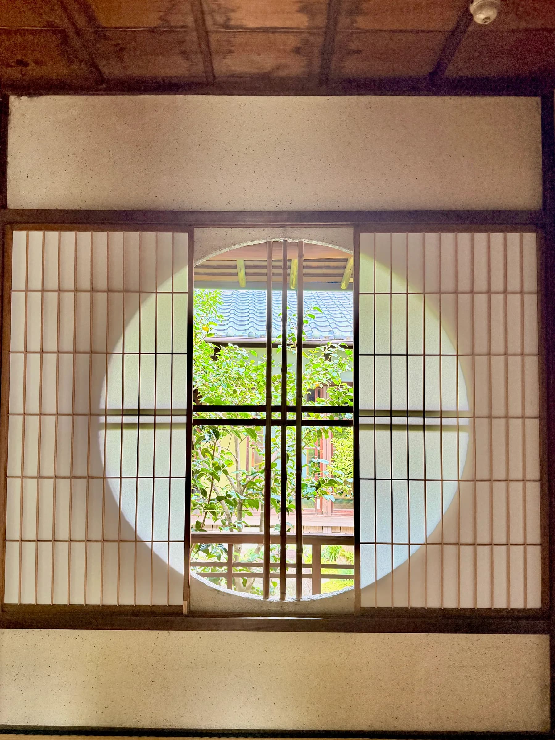 Nara Walking Tour: World Heritage, Sacred Deer, Ancient Forest and Old Town