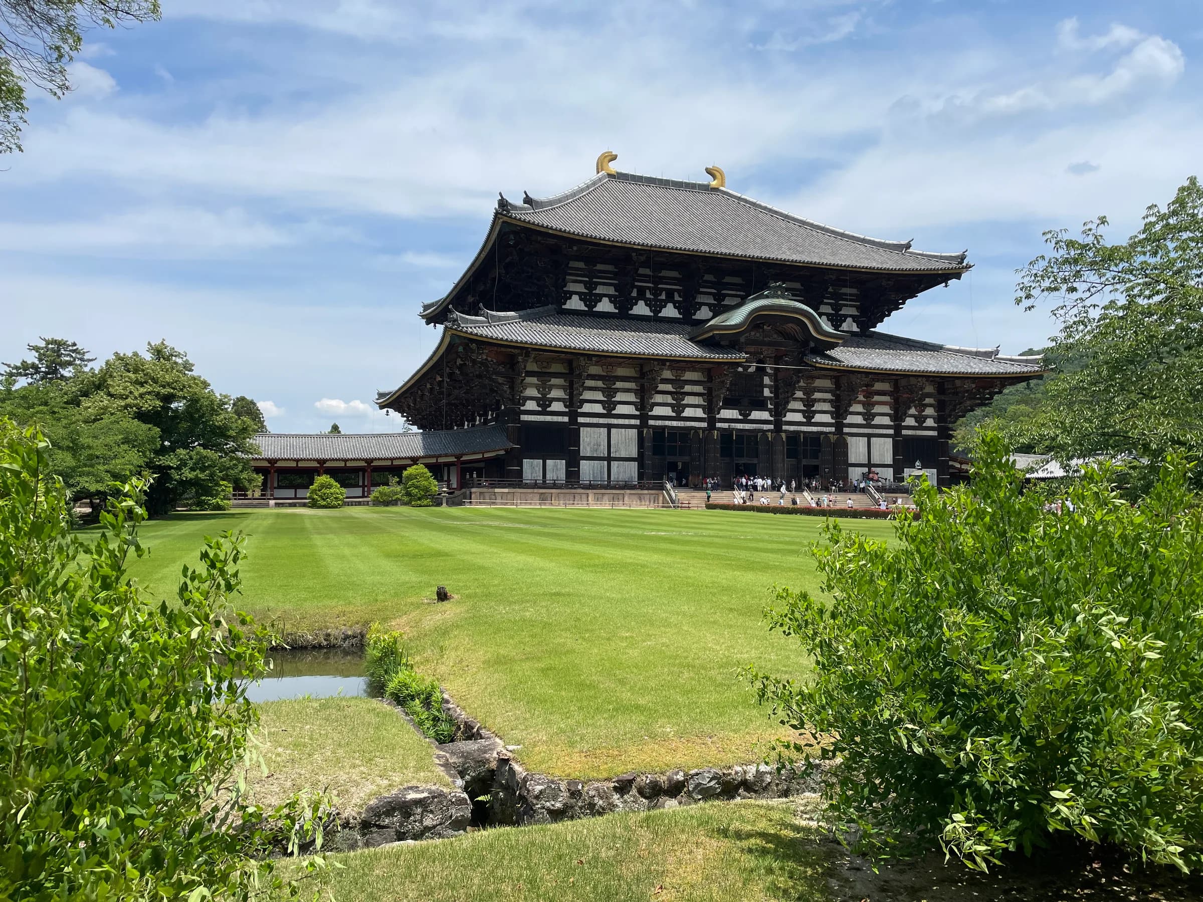 Nara Walking Tour: World Heritage, Sacred Deer, Ancient Forest and Old Town