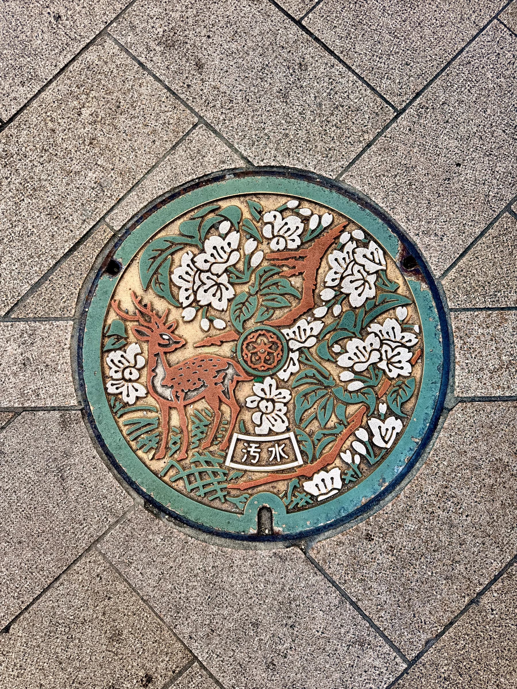 Nara Walking Tour: World Heritage, Sacred Deer, Ancient Forest and Old Town