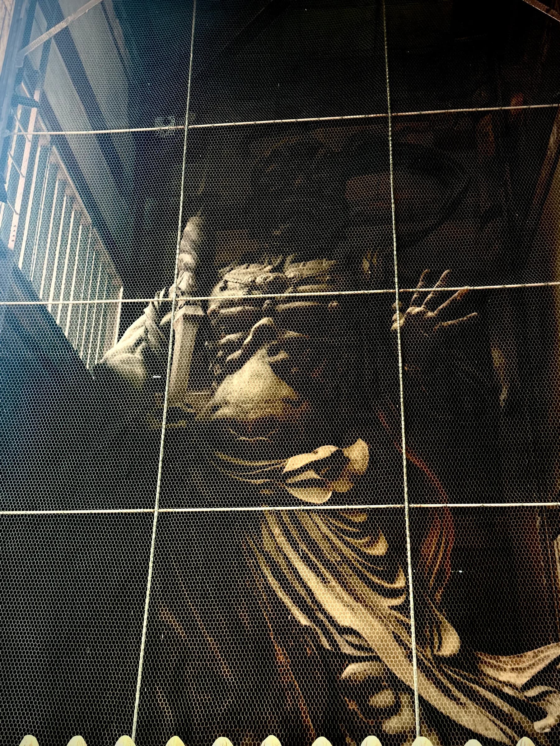 Nara Walking Tour: World Heritage, Sacred Deer, Ancient Forest and Old Town