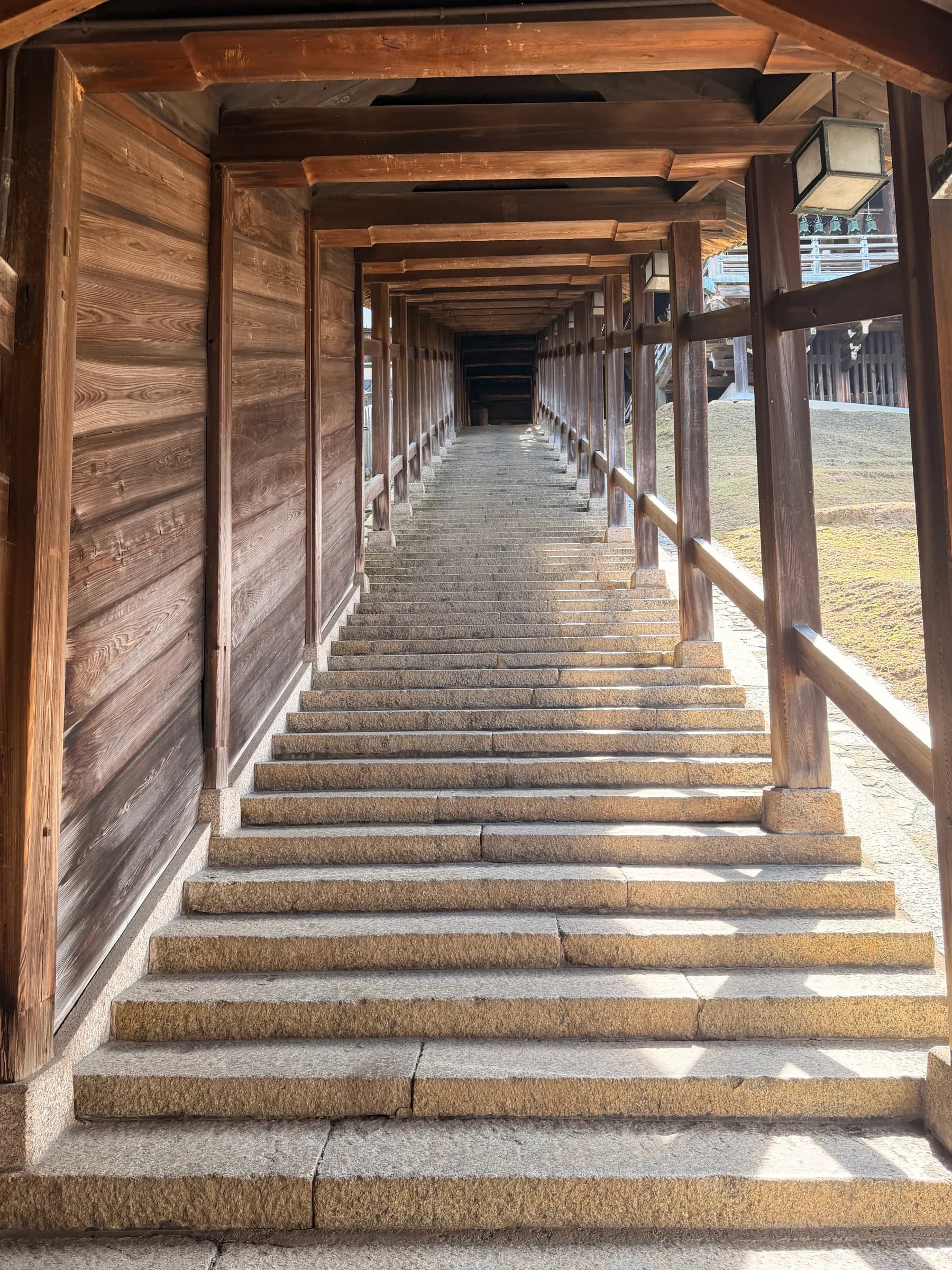 Nara Walking Tour: World Heritage, Sacred Deer, Ancient Forest and Old Town