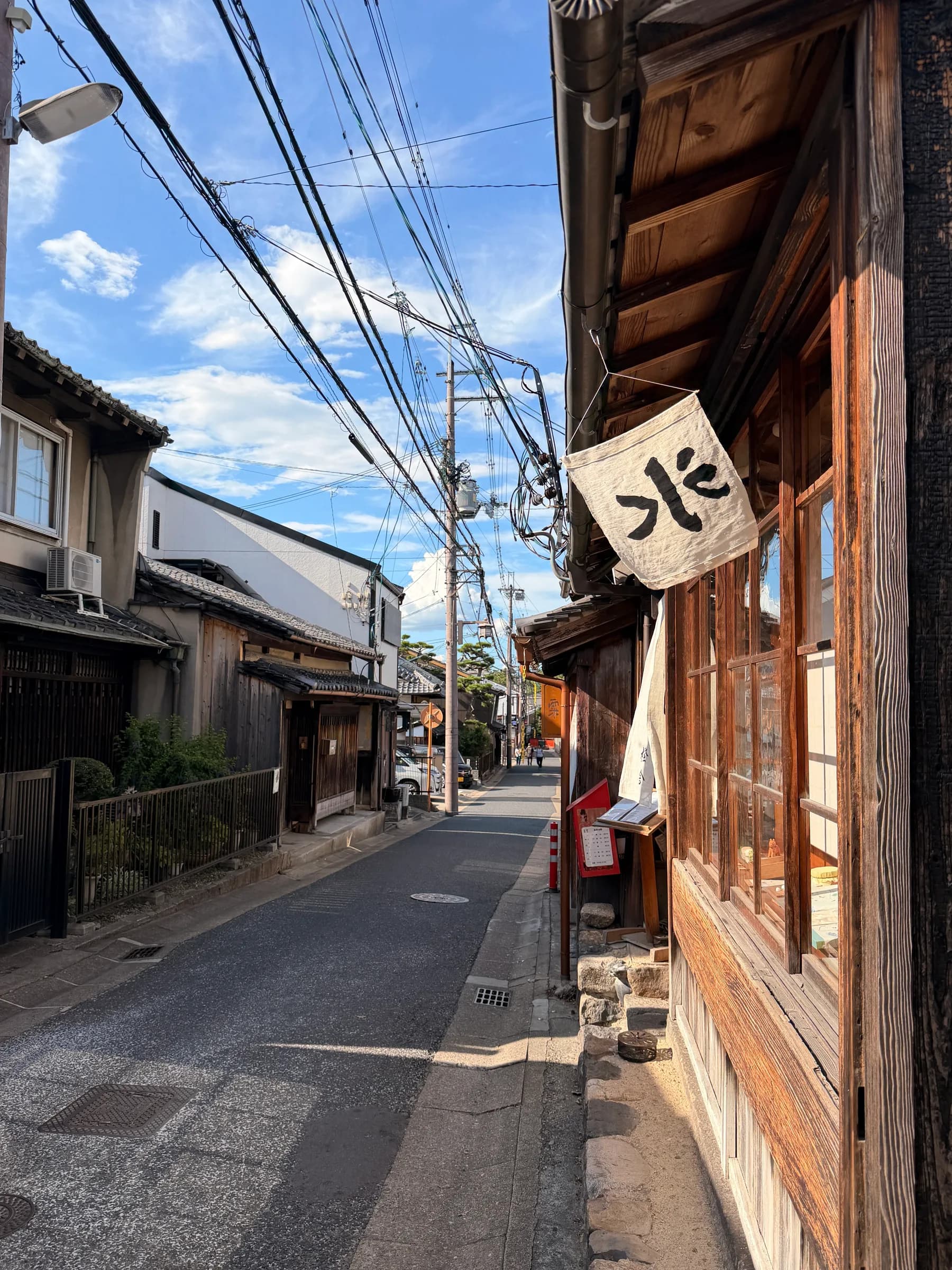 Nara Walking Tour: World Heritage, Sacred Deer, Ancient Forest and Old Town