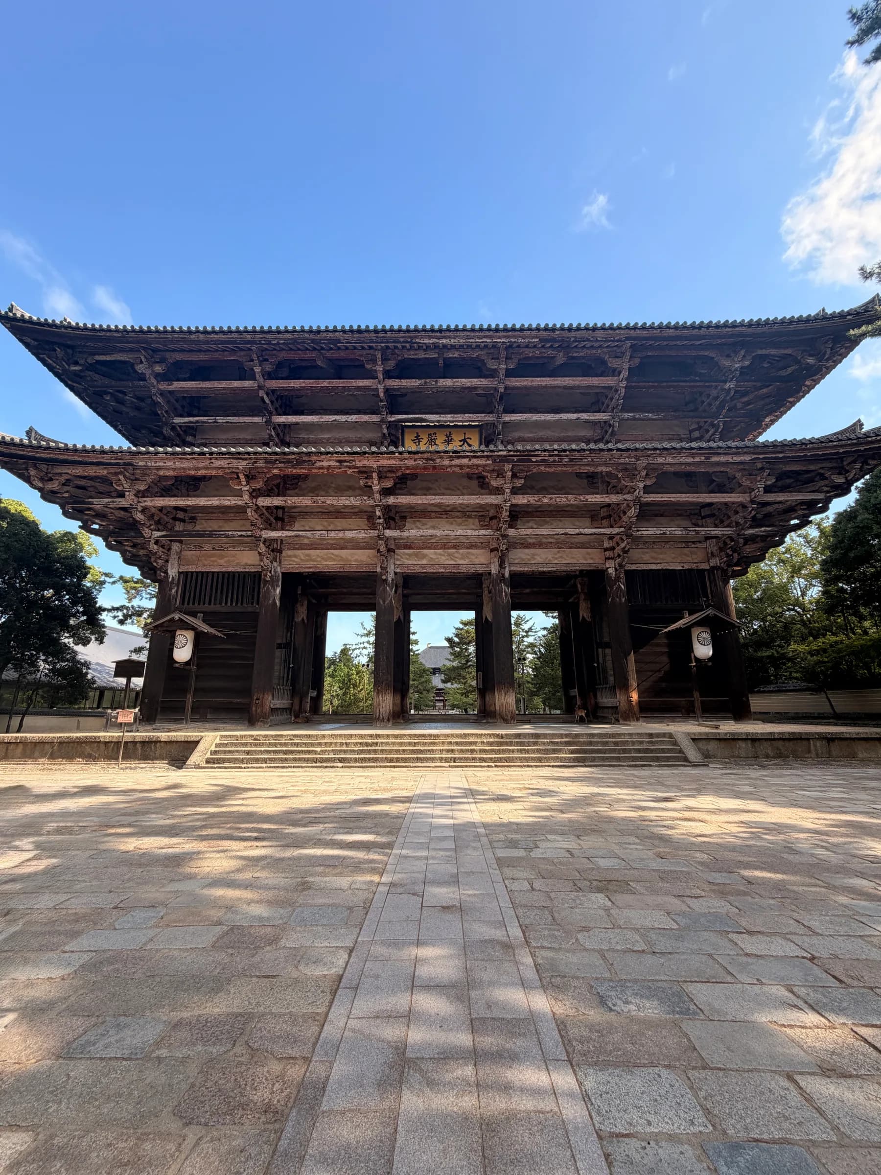 Nara Walking Tour: World Heritage, Sacred Deer, Ancient Forest and Old Town