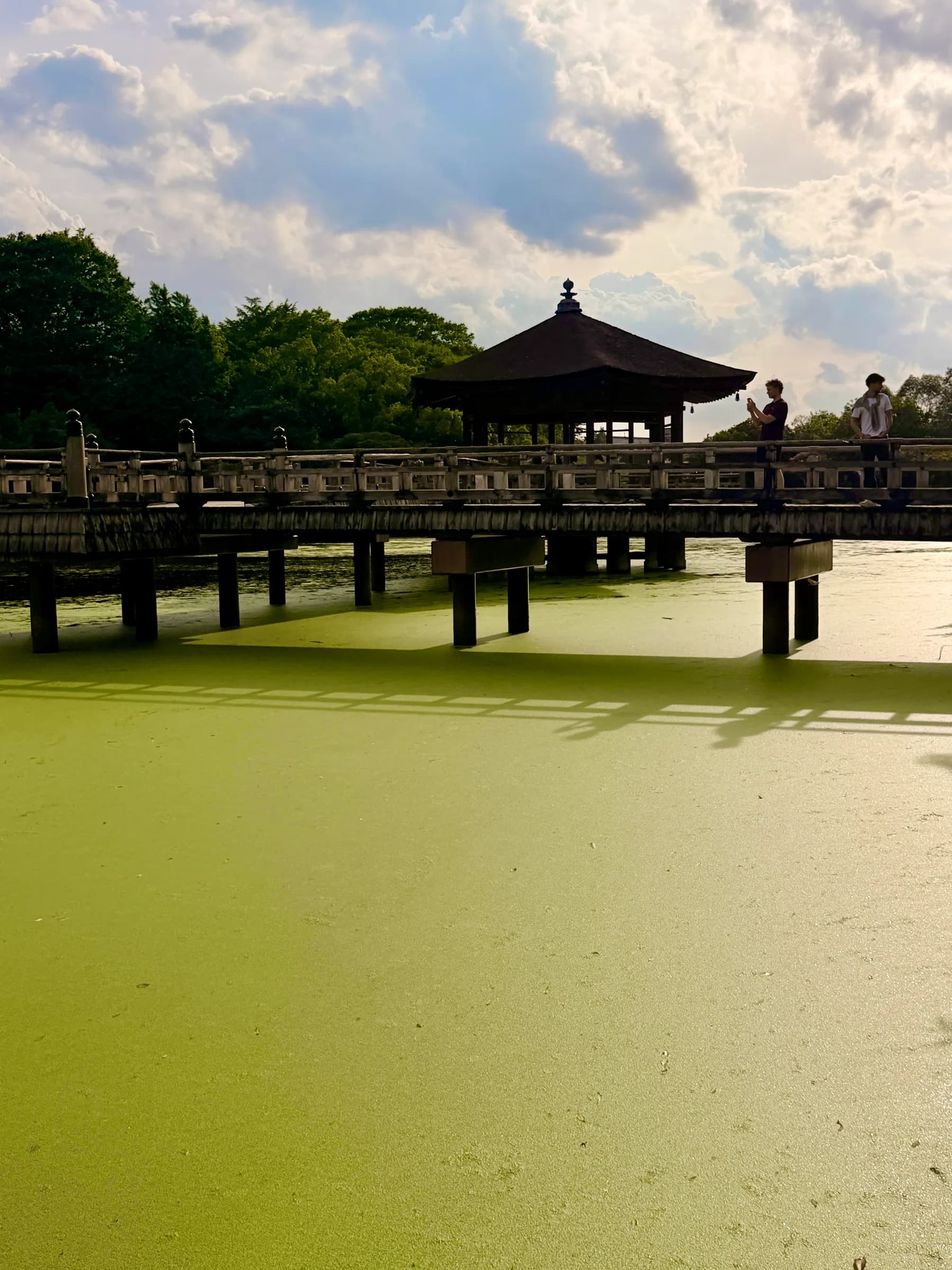 Nara Walking Tour: World Heritage, Sacred Deer, Ancient Forest and Old Town